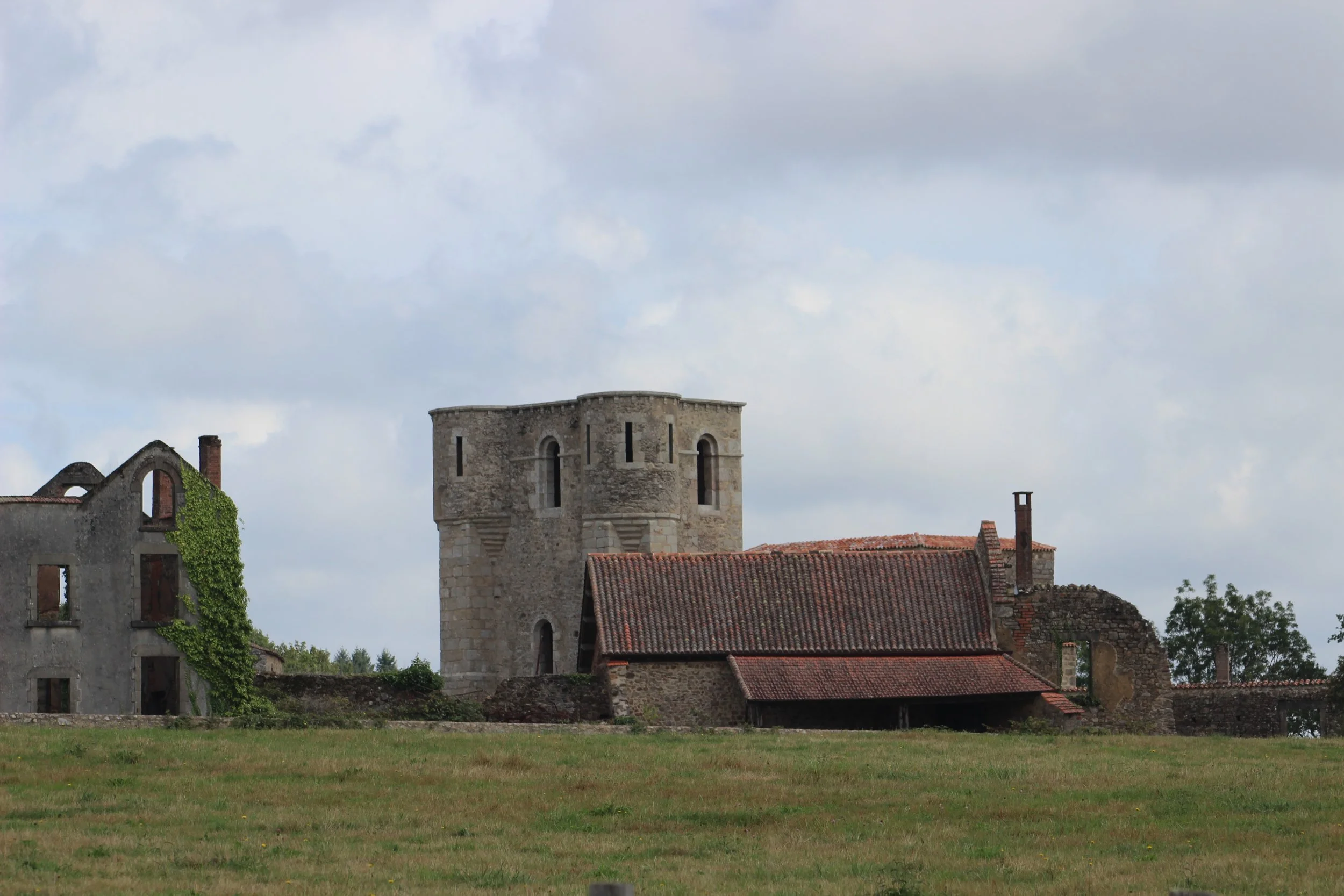 Rückansicht eines mittelalterlichen Schlosses mit Rundturm, umgeben von Ruinen und einer Wiese, bei bewölktem Himmel.
