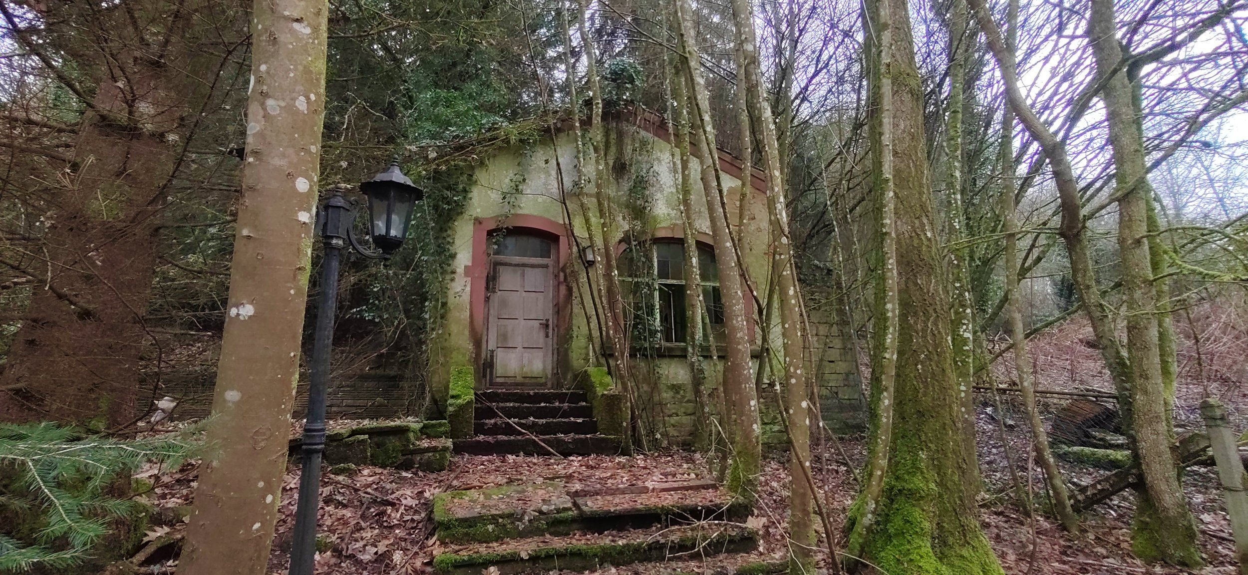 Verfallenes Haus im Wald, umgeben von Bäumen, mit einer alten Laterne im Vordergrund.