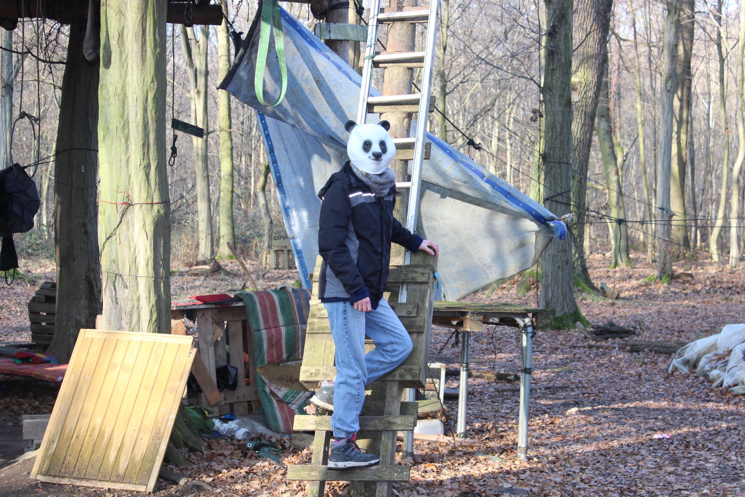 Person mit Panda-Maske im Wald, stehend auf einer kleinen Holztreppe, umgeben von Baumstämmen und Campingmaterialien.