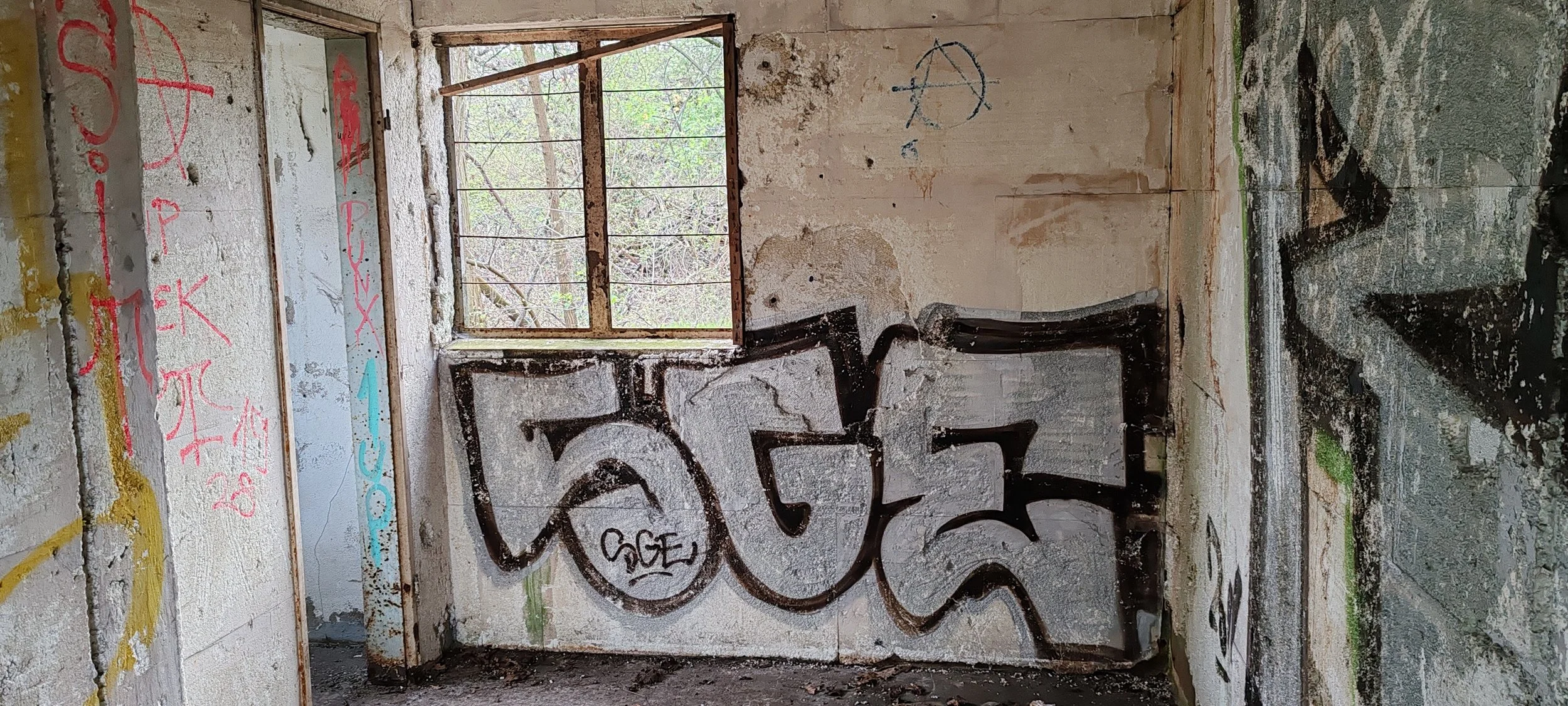 Verfallene, graffiti-beschmierte Zimmerwand mit Fensterrahmen ohne Glas, Blick nach draußen auf Bäume, mit Graffiti in verschiedenen Farben, darunter Schwarz, Rot und Türkis.