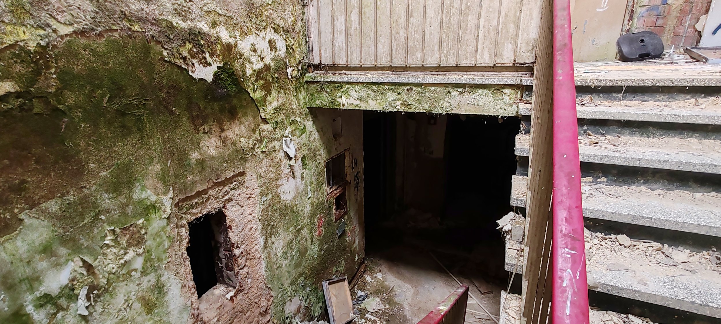 Alter, verlassene Keller- oder Kellereingang mit moosbedeckten Wänden, steinerner Treppe und rotem Geländer.