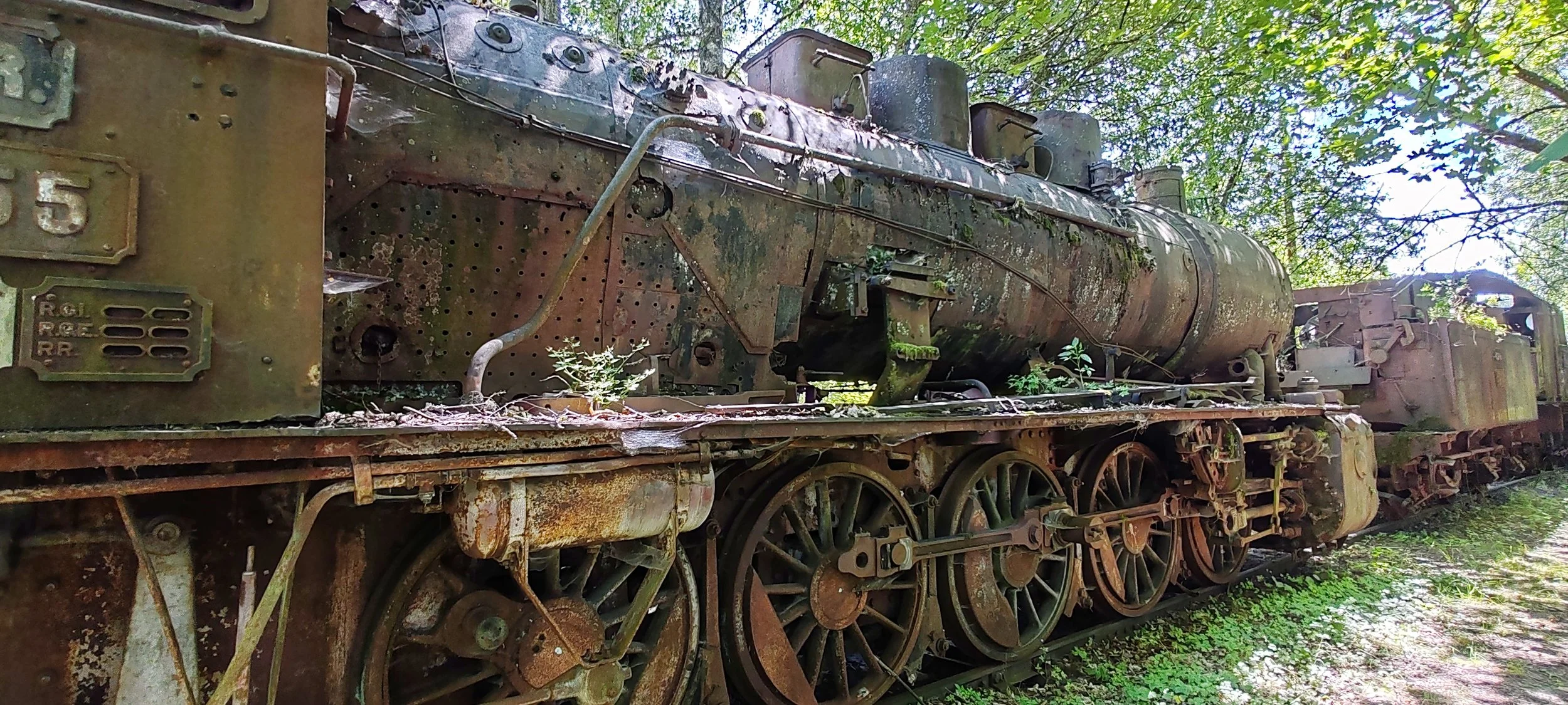 Alte verrostete Dampflokomotive im Freien, umgeben von Bäumen und Gras.