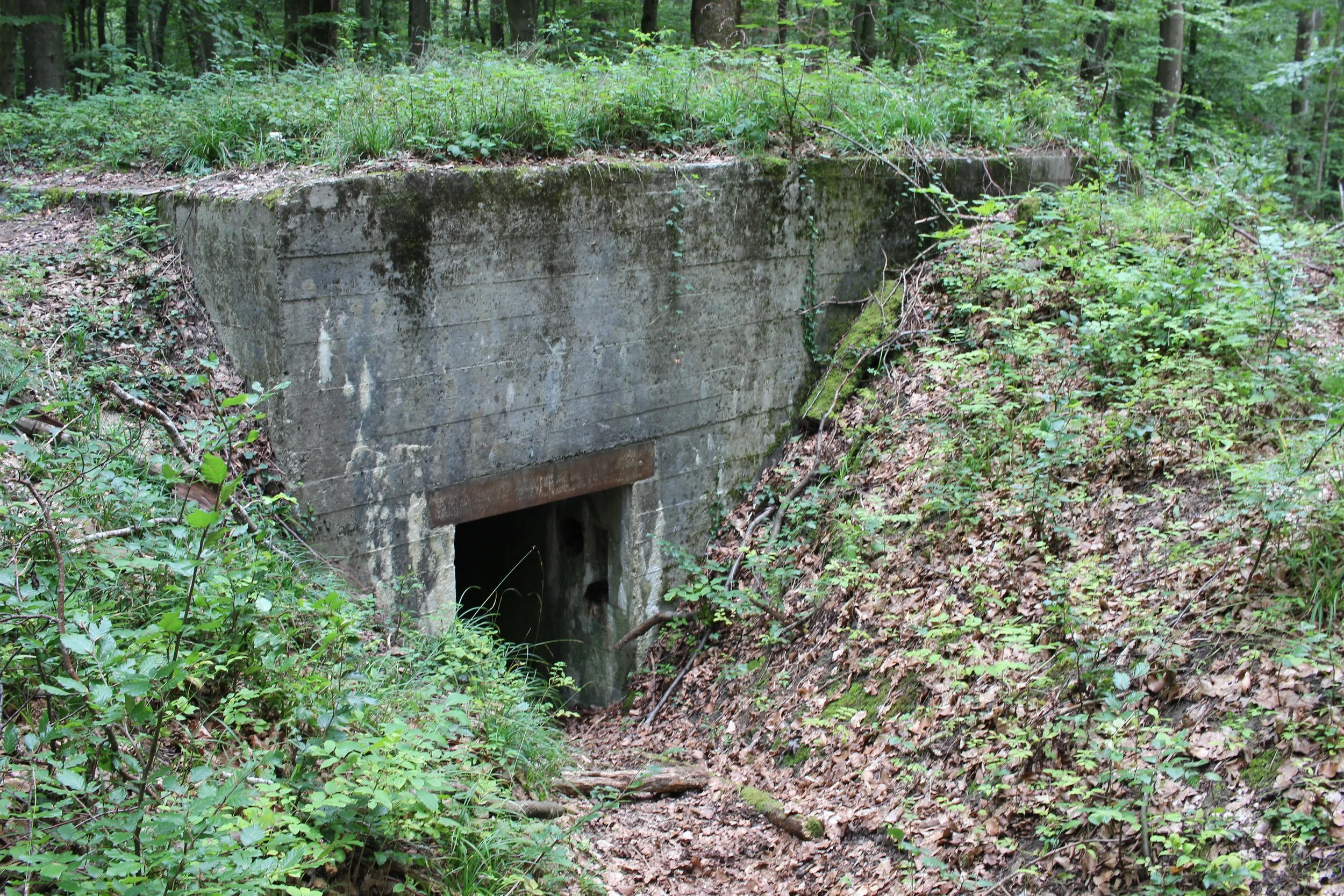 Ein alter, eingezäunter Bunker im bewaldeten Gebiet, umgeben von Grün und Blättern.
