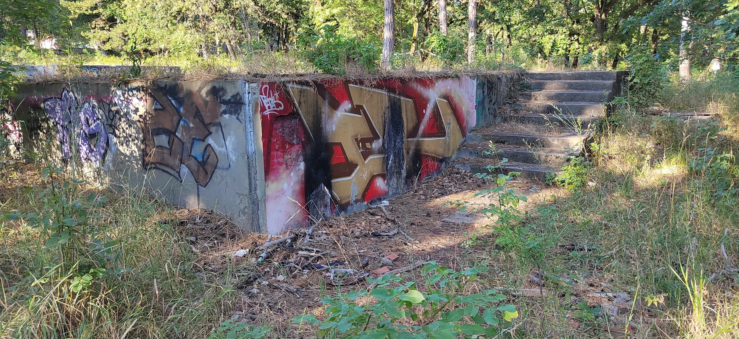 Verwitterte Graffiti an einer betonierten Mauer und Treppe im Freien, umgeben von Bewuchs und Bäumen.