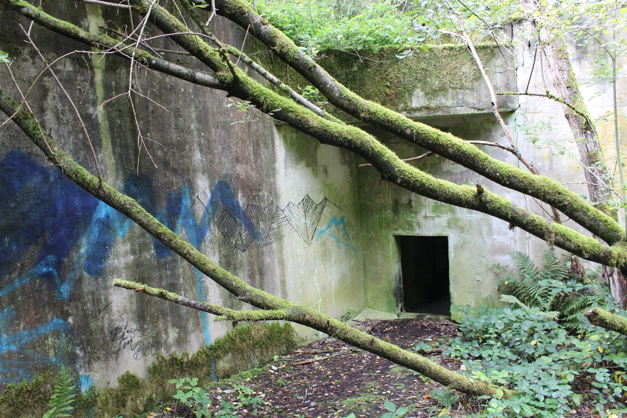 Verfallene, mossbedeckte Betonstruktur im Wald mit Graffiti, umgeben von Pflanzen, mit dunklem Eingang.