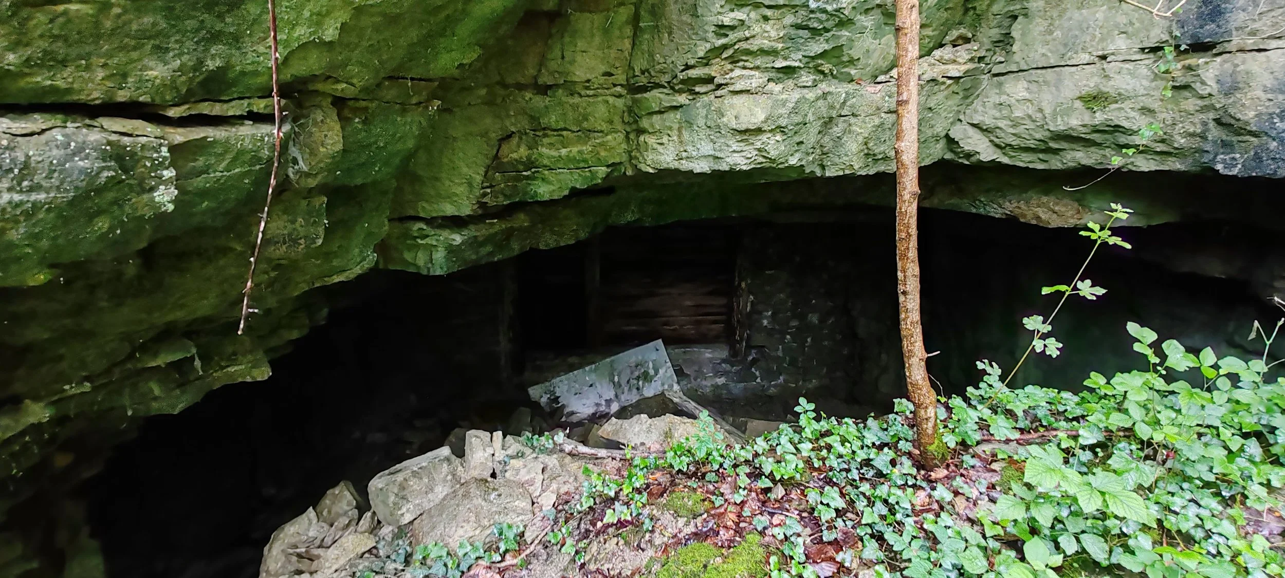 Ein dunkler Eingang zu einer Höhle, umgeben von grünen Pflanzen und moosbedeckten Steinen.