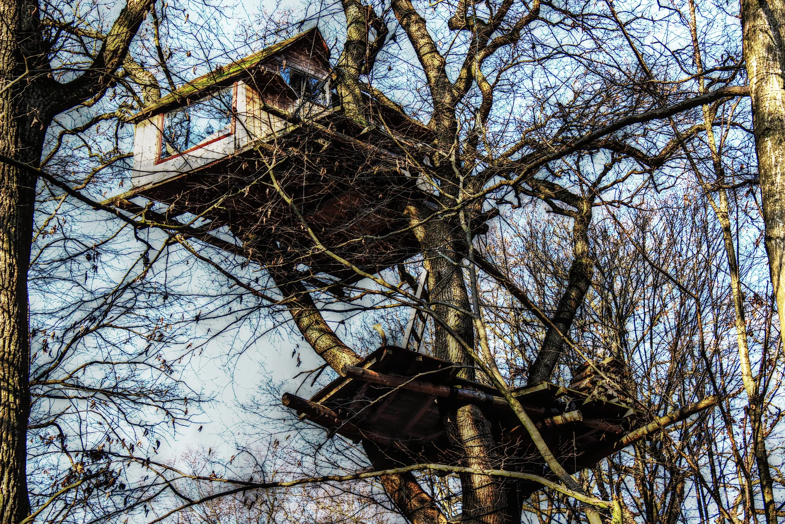Vogelhaus auf Baum, Winter, kahle Äste, blauer Himmel