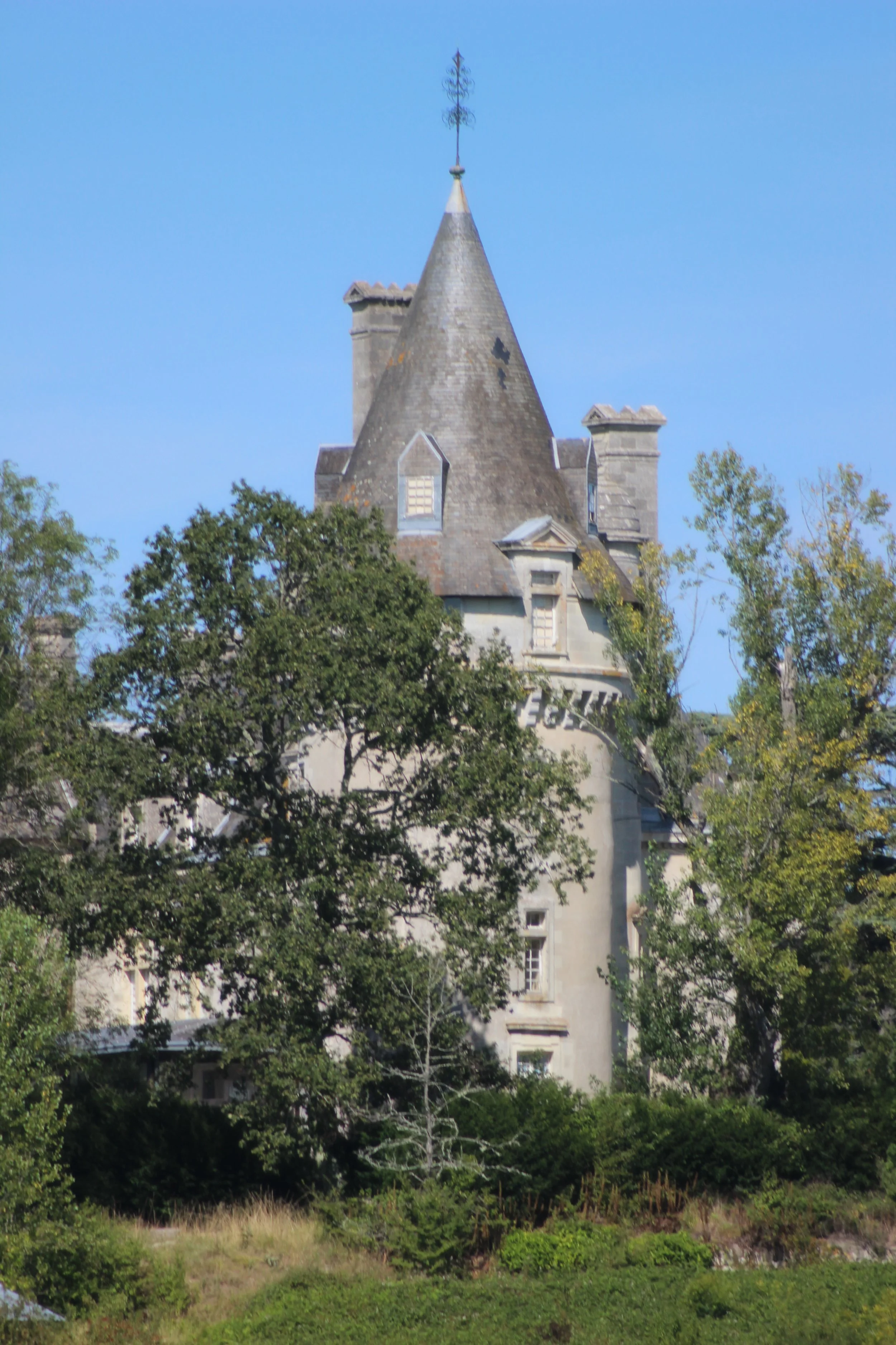 Ein altes Schloss mit spitzem Turm, teilweise von Bäumen verdeckt, bei sonnigem Himmel.