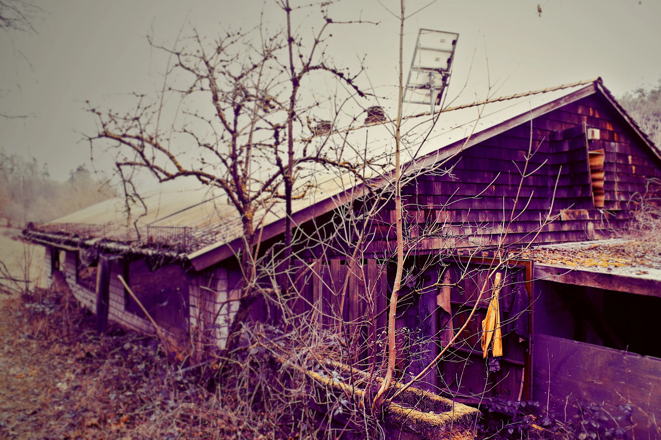 Verfallenes, altes Holzhaus im Winter, umgeben von kargem Baumbewuchs.