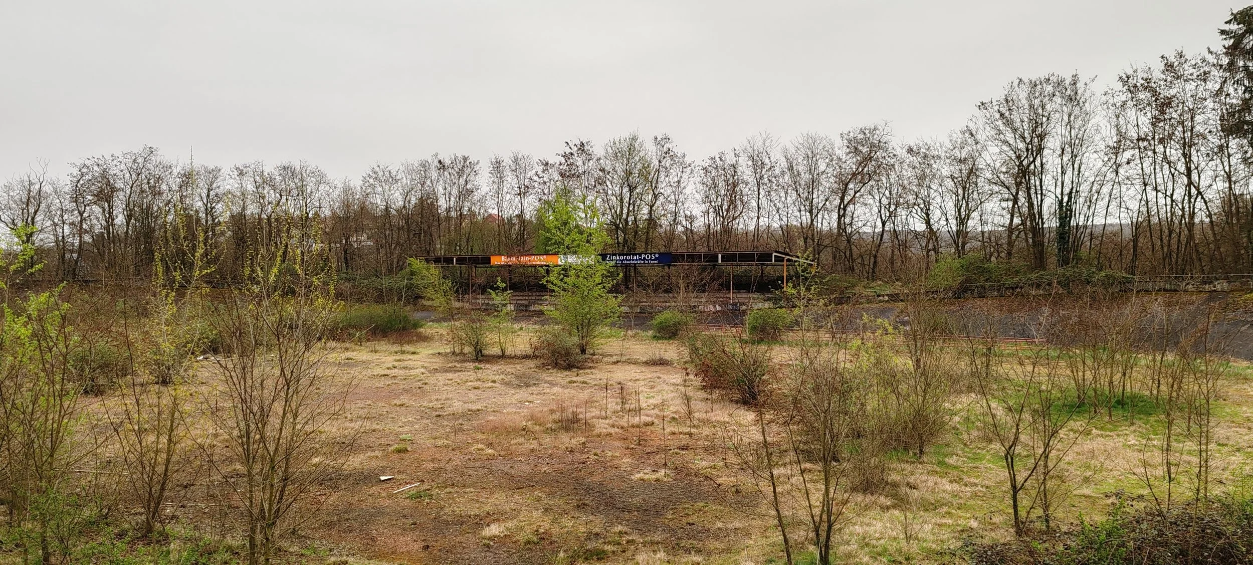 Ein verlassener, überwucherter Platz mit kahlen Bäumen im Hintergrund und einem alten, kaum erkennbaren Bahnsteig mit beschilderten Linien. Es wirkt wie ein stillgelegter Bahnhof oder Bahnhofsgelände.