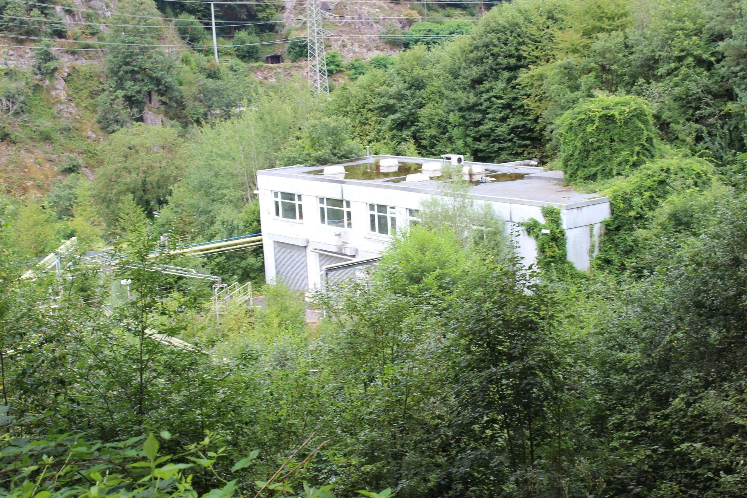 Ein weißes Industriegebäude, das von dichtem Grün umgeben ist, mit Bäumen im Vordergrund und einem hügeligen, bewaldeten Hintergrund.