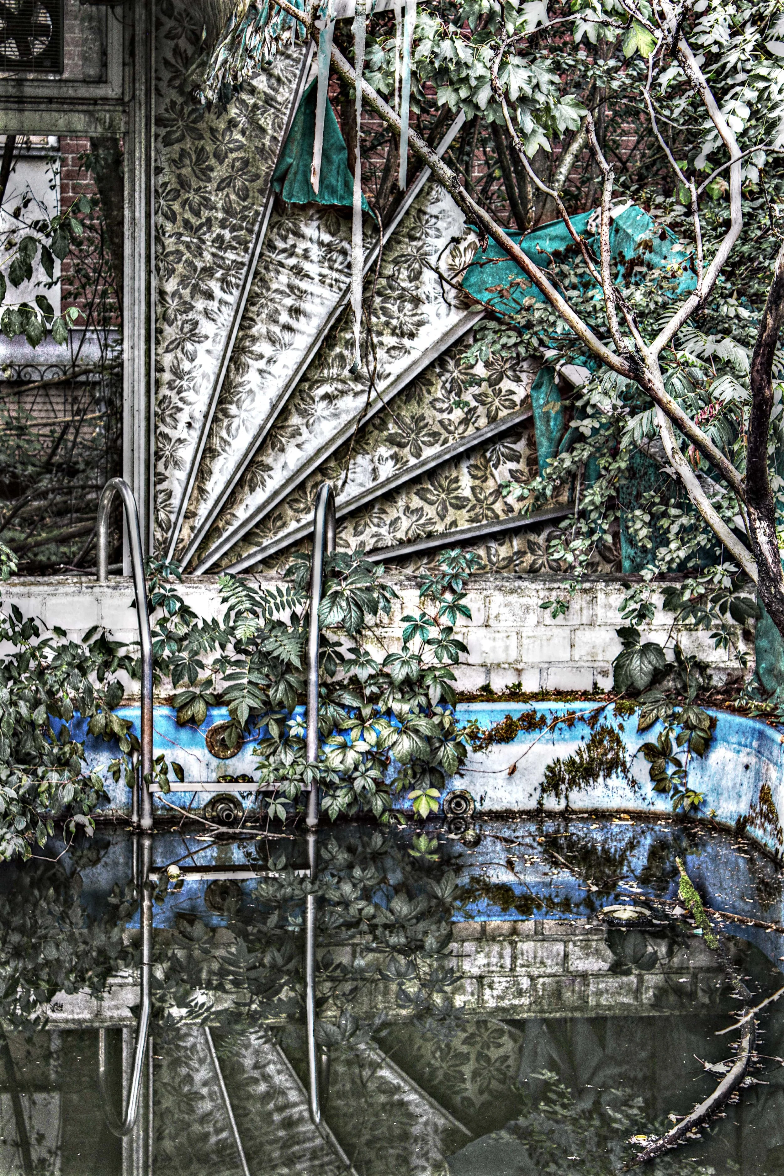 Verfallener, vernachlässigter Swimmingpool umgeben von überwuchernden Pflanzen und Büschen, mit Wasser und Moos im Inneren, im Hintergrund eine alte, vergammelte, faltige Sonnensegel