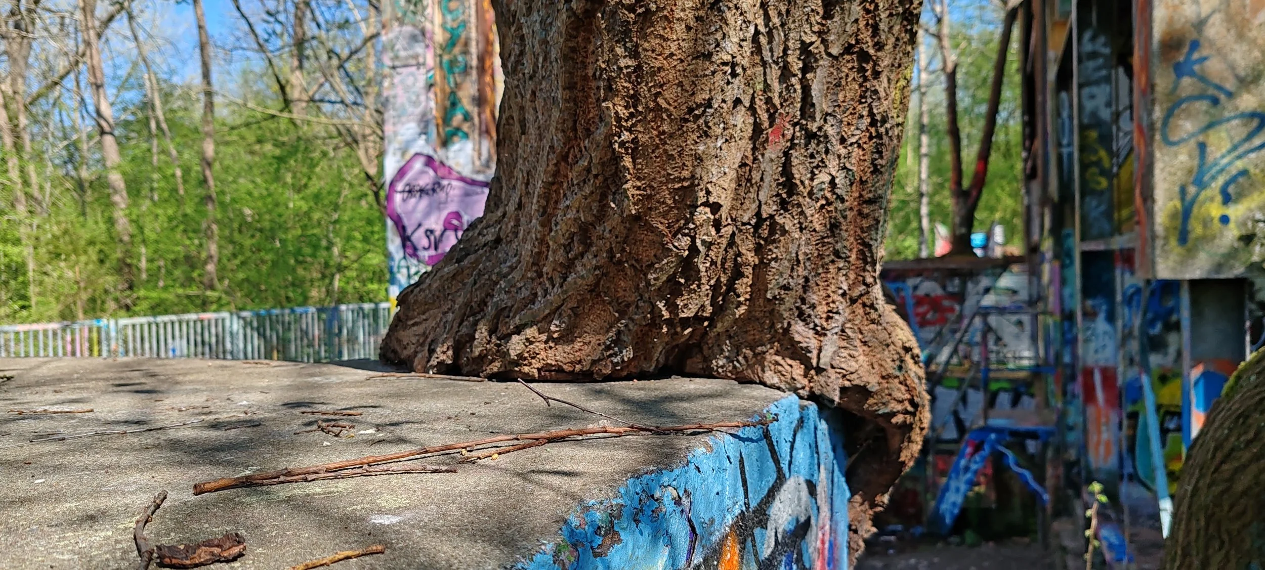 Nahaufnahme eines Baumstamms mit brauner, rauer Rinde auf einem Graffiti-kunstvollen Untergrund in einem Park, im Hintergrund grüne Bäume mit frischen Blättern.