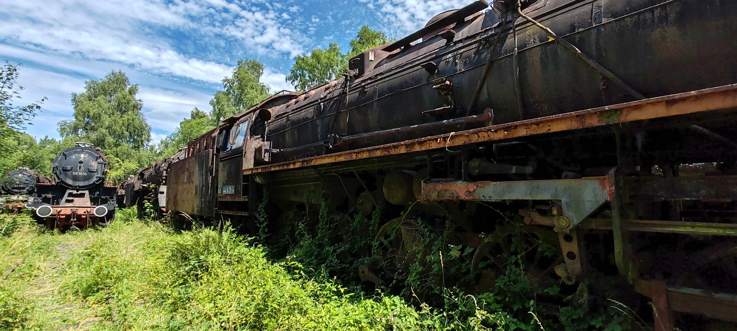 Verrostete alte Dampflokomotiven stehen im Freien umgeben von Überwucherung und Bäumen, unter einem bewölkten blauen Himmel.