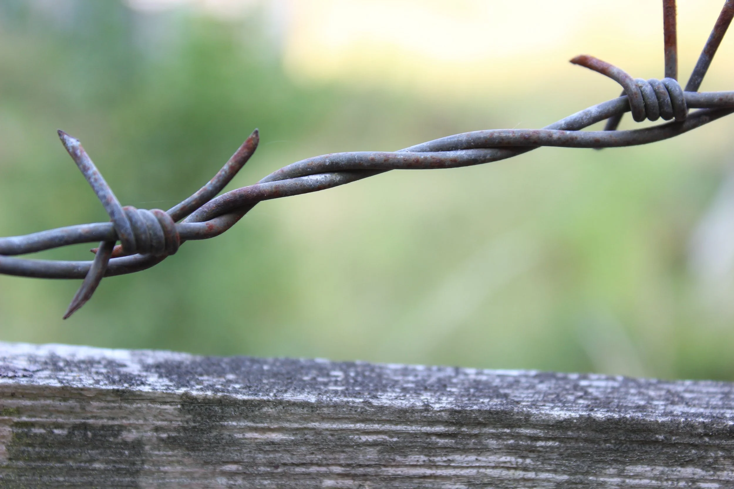 Nahaufnahme eines rostigen Stacheldrahtzauns auf einem Holzpfosten, mit unscharfem grünen Hintergrund.