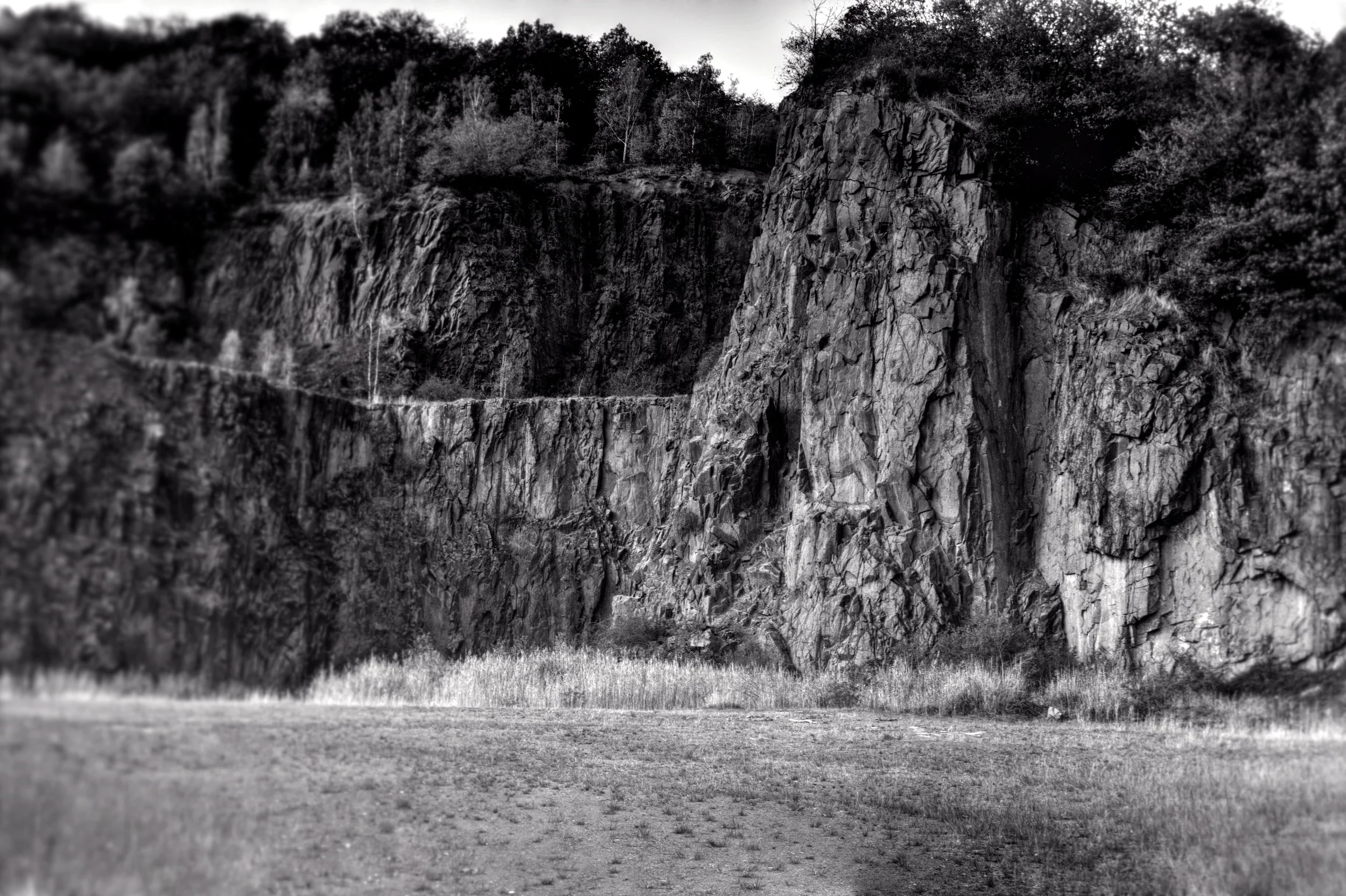 Schwarz-weiß-Foto einer felsigen Klippe mit Baumkronen oben und geringem Gras am Fuße der Klippe.