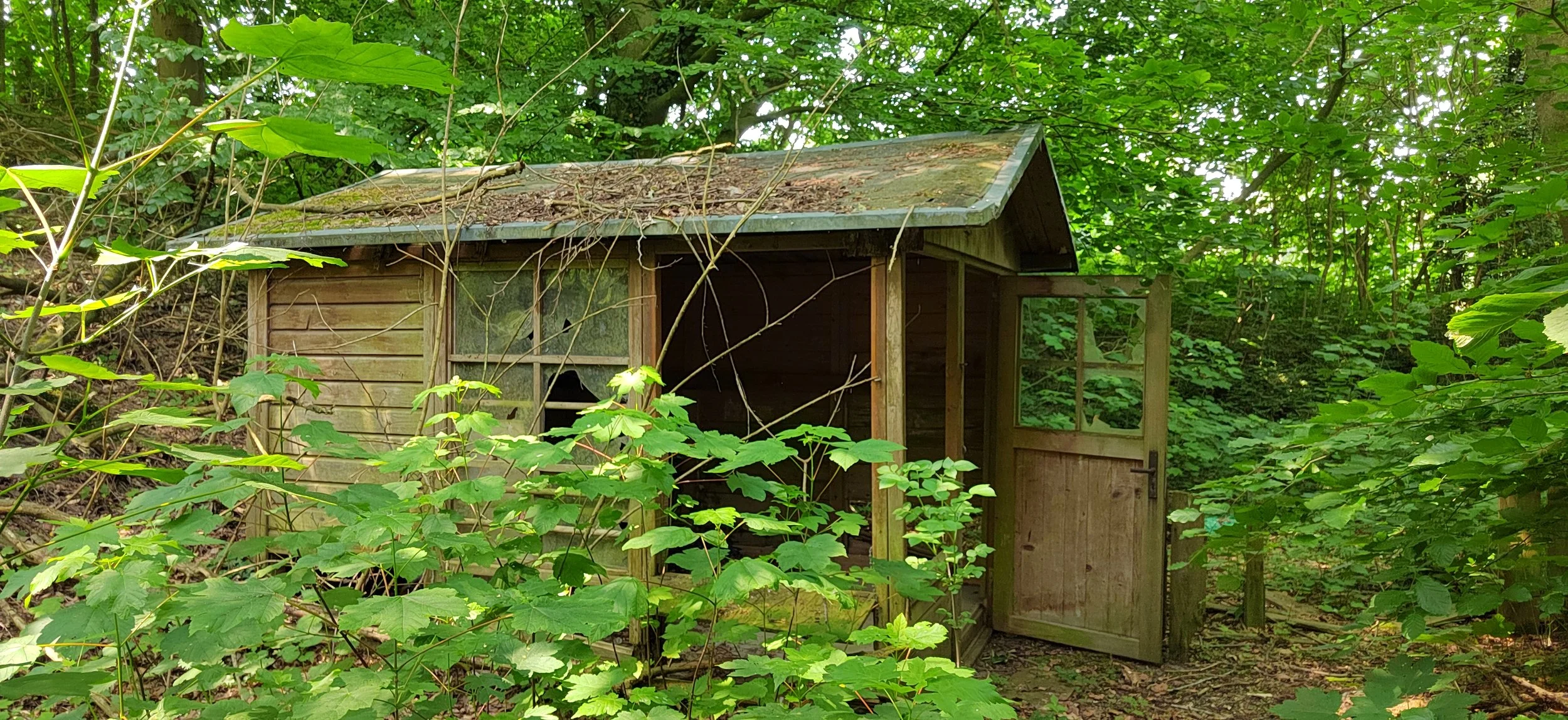 Ein kleines, verfallenes Holzhaus im Dschungel, umgeben von grünen Blättern und Büschen.