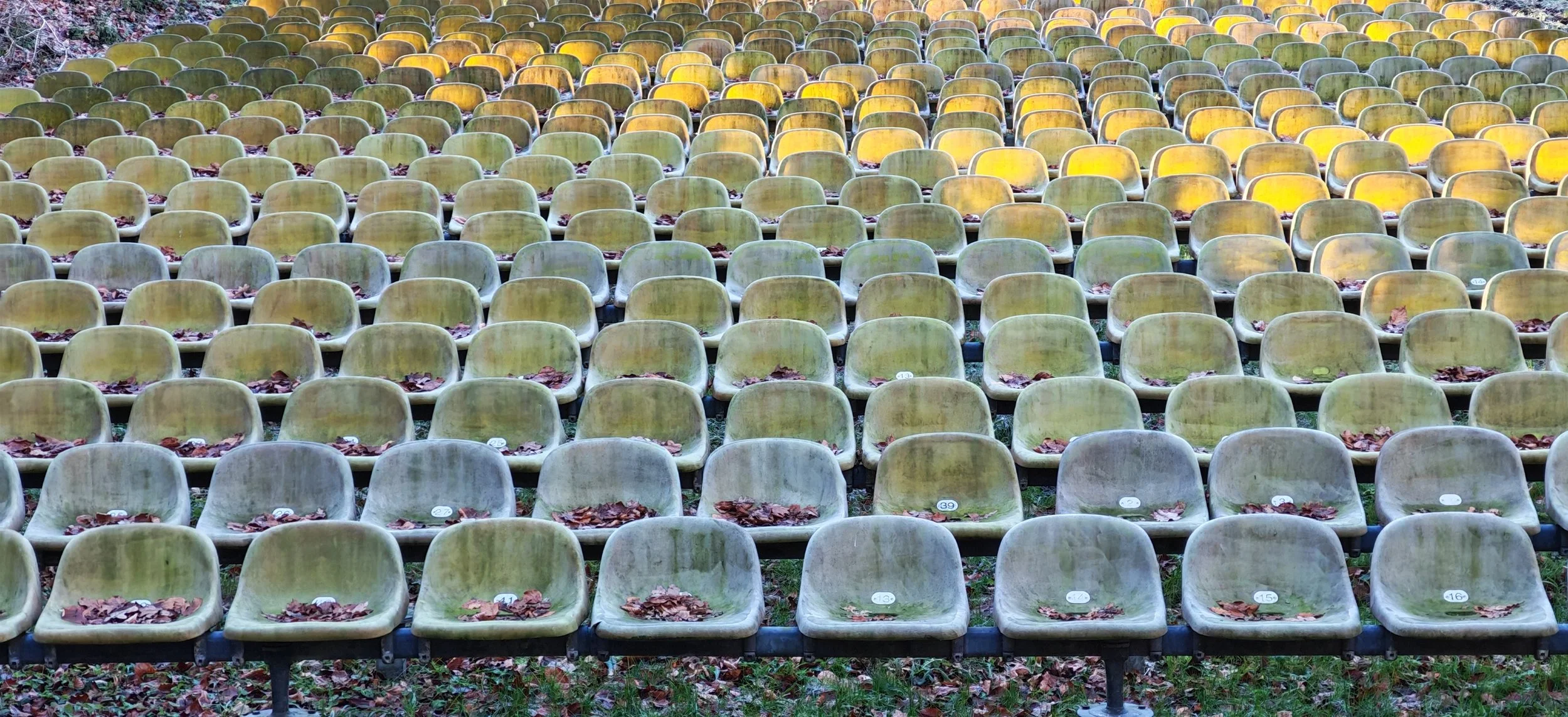 Leere Sitzreihen in einem Stadion mit Herbstlaub auf den Stühlen.