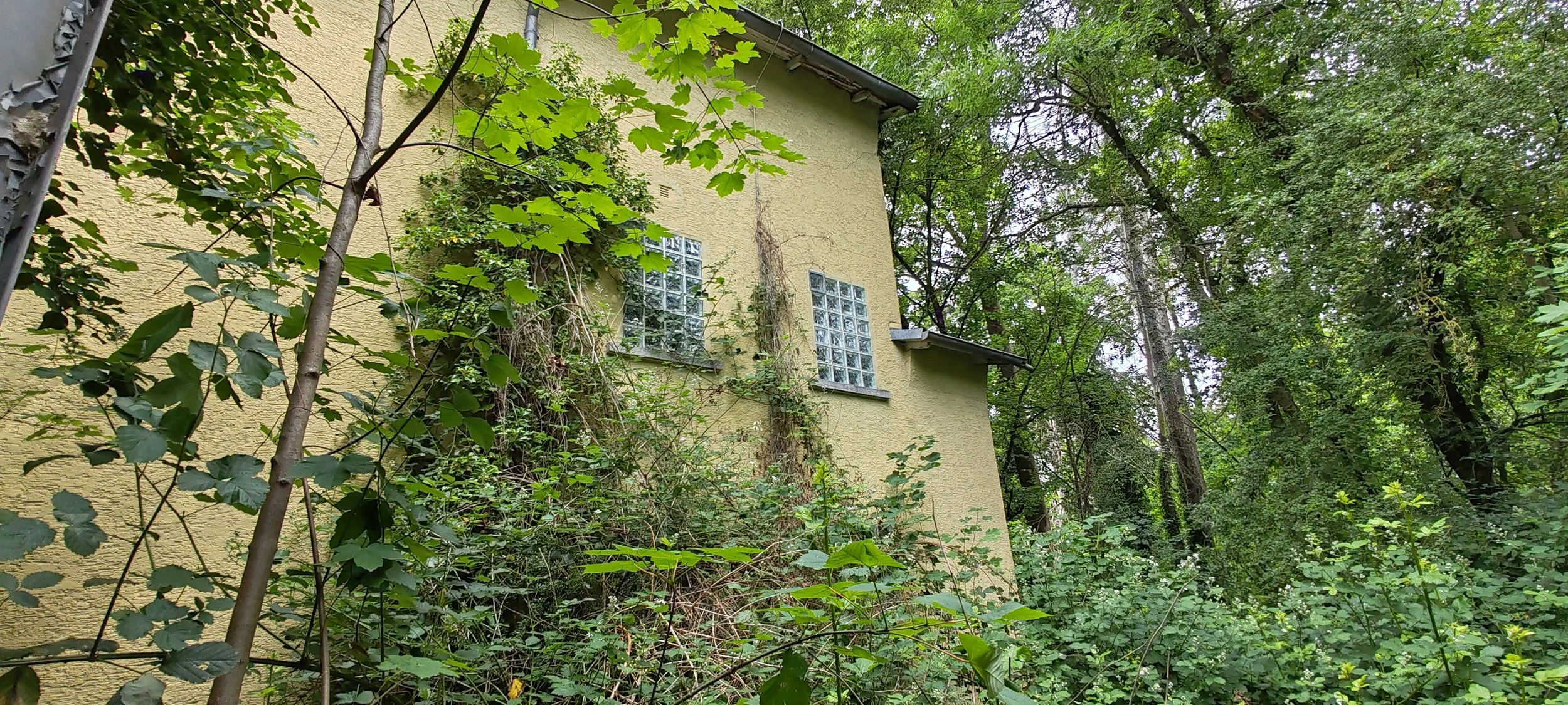 Ein gelbes Haus, das teilweise von Pflanzen und Bäumen verdeckt ist, mit Fenstern aus Glasbausteinen auf der Vorderseite in einer bewucherten Umgebung.