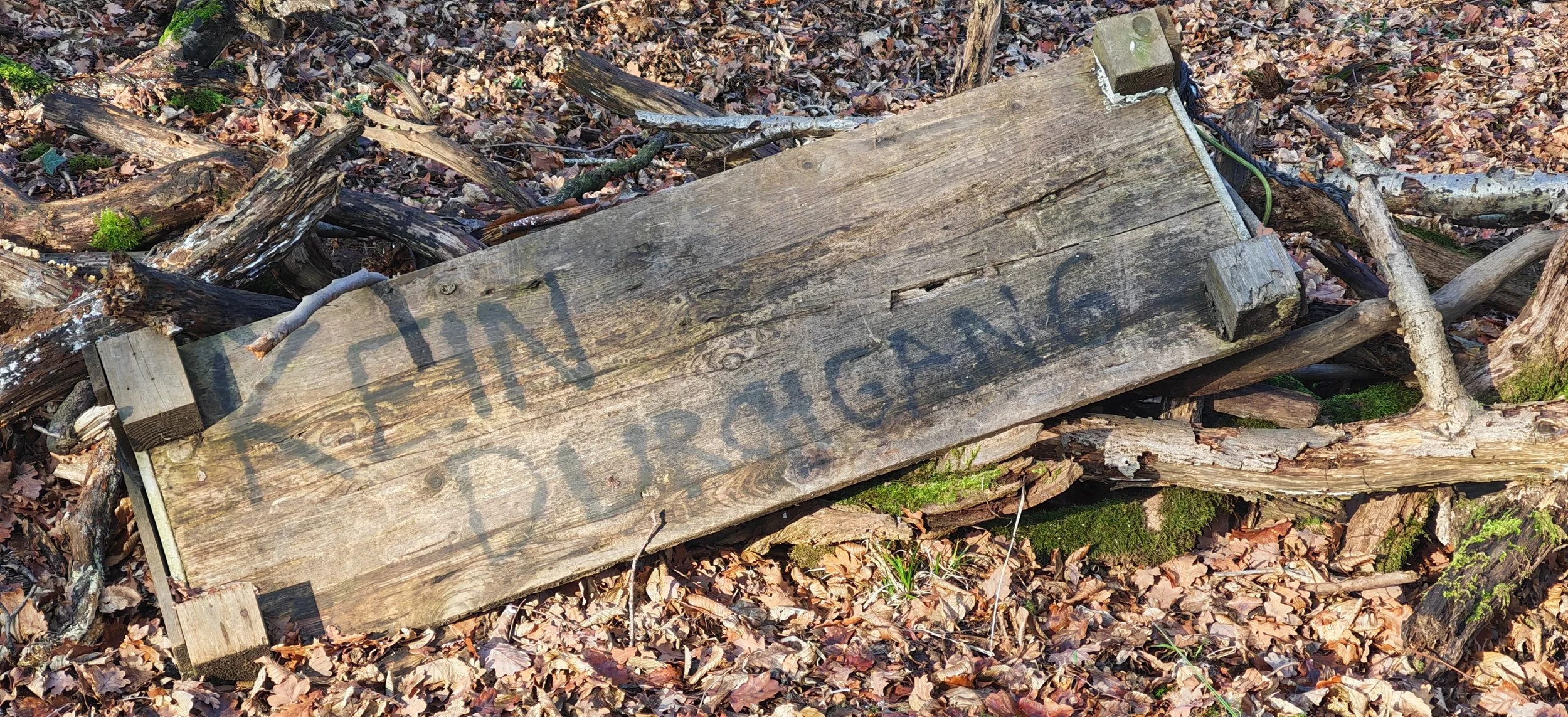 Ein verwittertes Holzschild mit der Aufschrift 'TRAIN DLR & SCANG' liegt auf einem Waldweg, umgeben von Ästen, Laub und Moos.