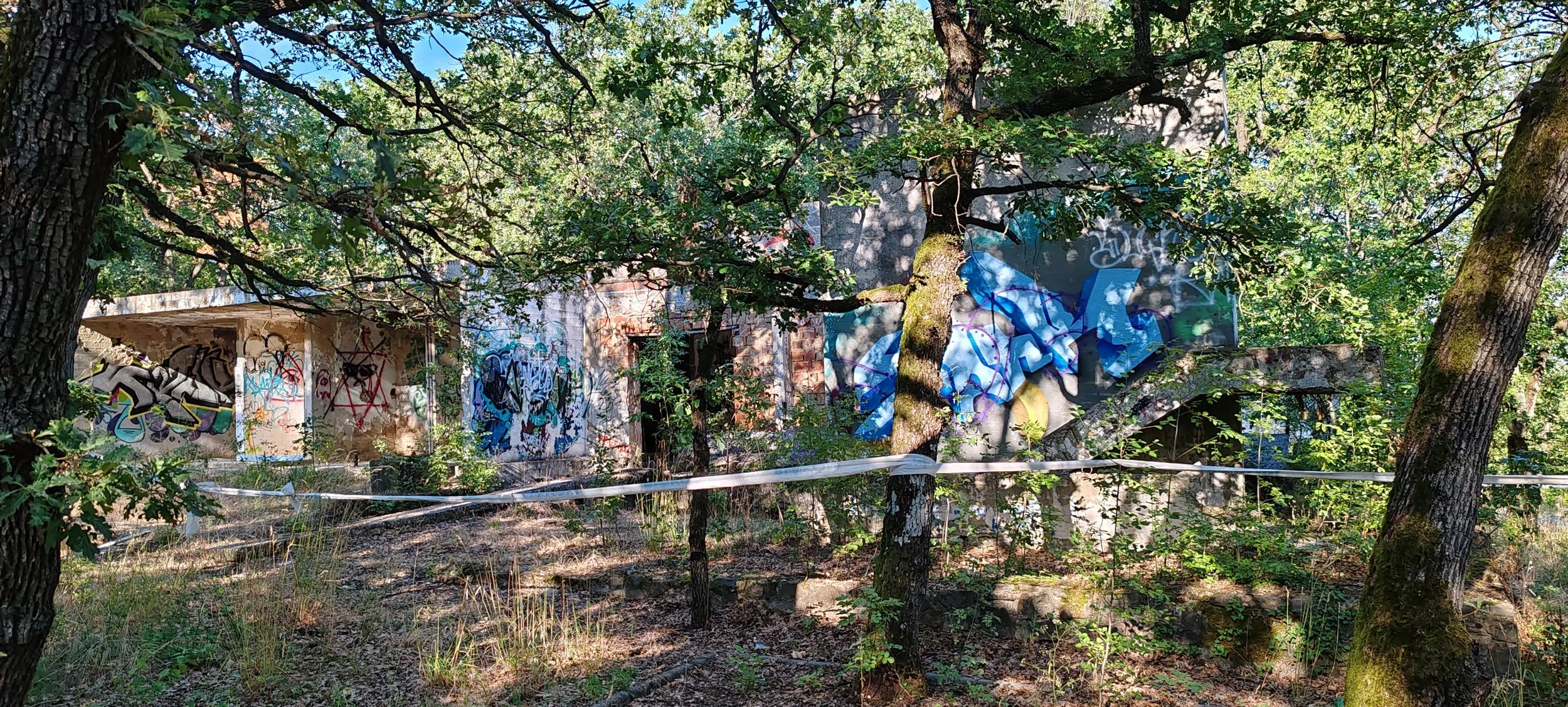 Verfallenes Gebäude mit Graffiti, umgeben von Bäumen und Pflanzen, in einer bewachsenen, verwilderten Umgebung