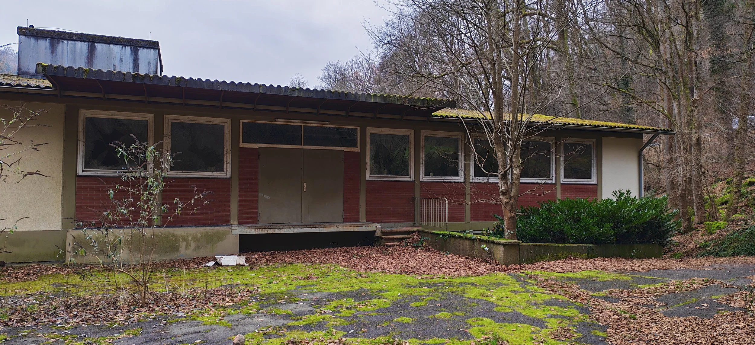 Verlassene, alte Hausruine im Wald mit mossbedecktem Boden und Bäumen im Herbst.