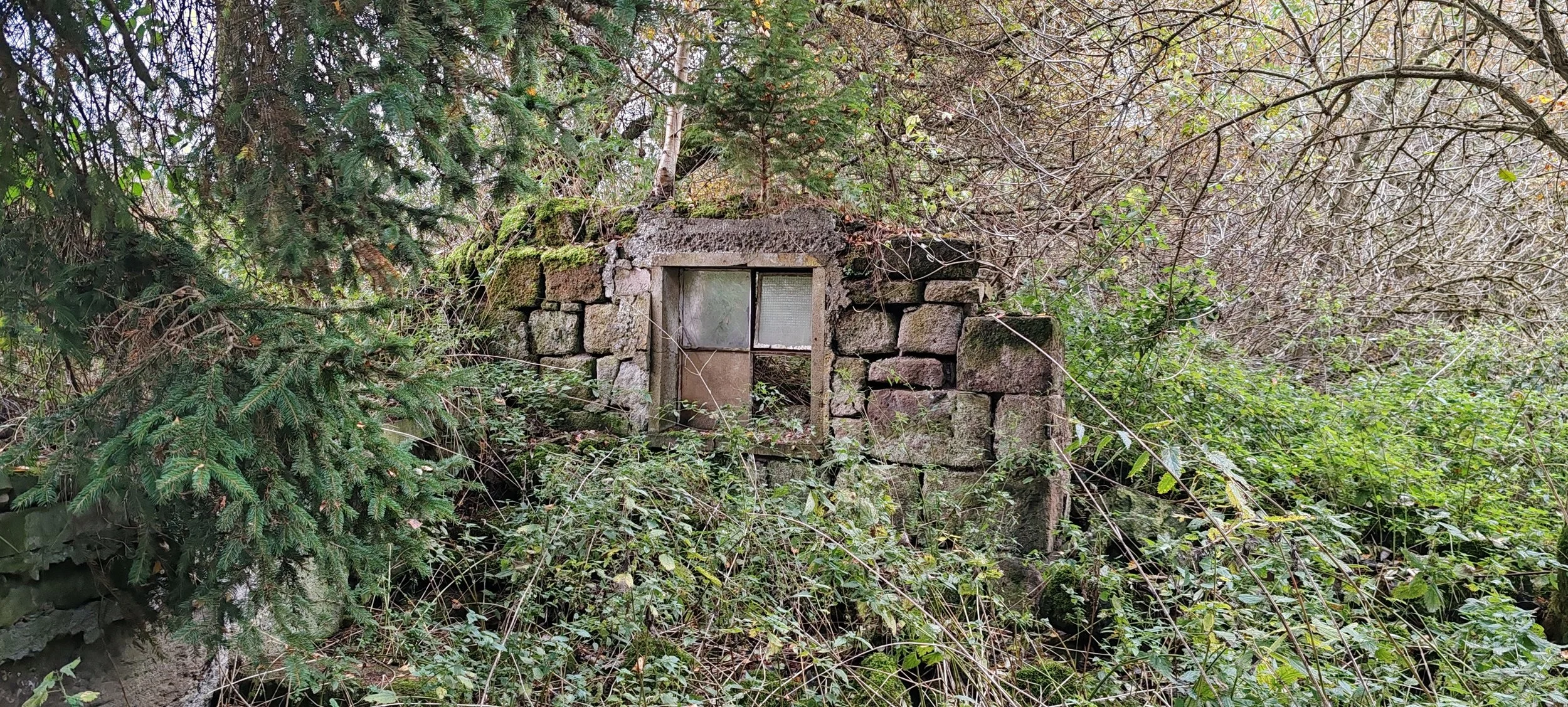 Verlorene, kleine Steinhütte mit Fenstern, überwuchert von Vegetation in einem Wald.