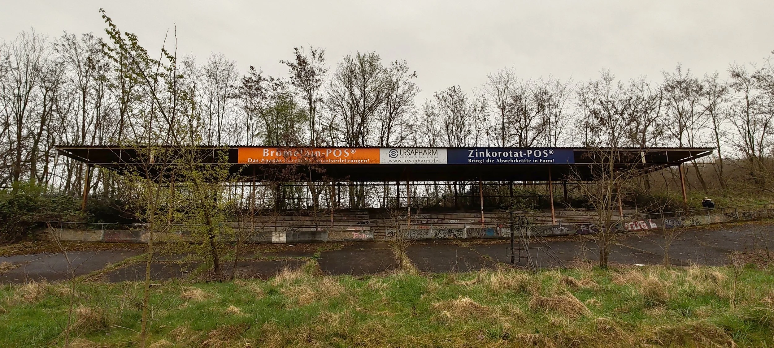 Ein leerer, verfallener Bahnsteig mit Graffiti und einem ruinösen Dach, umgeben von Bäumen im Herbst.