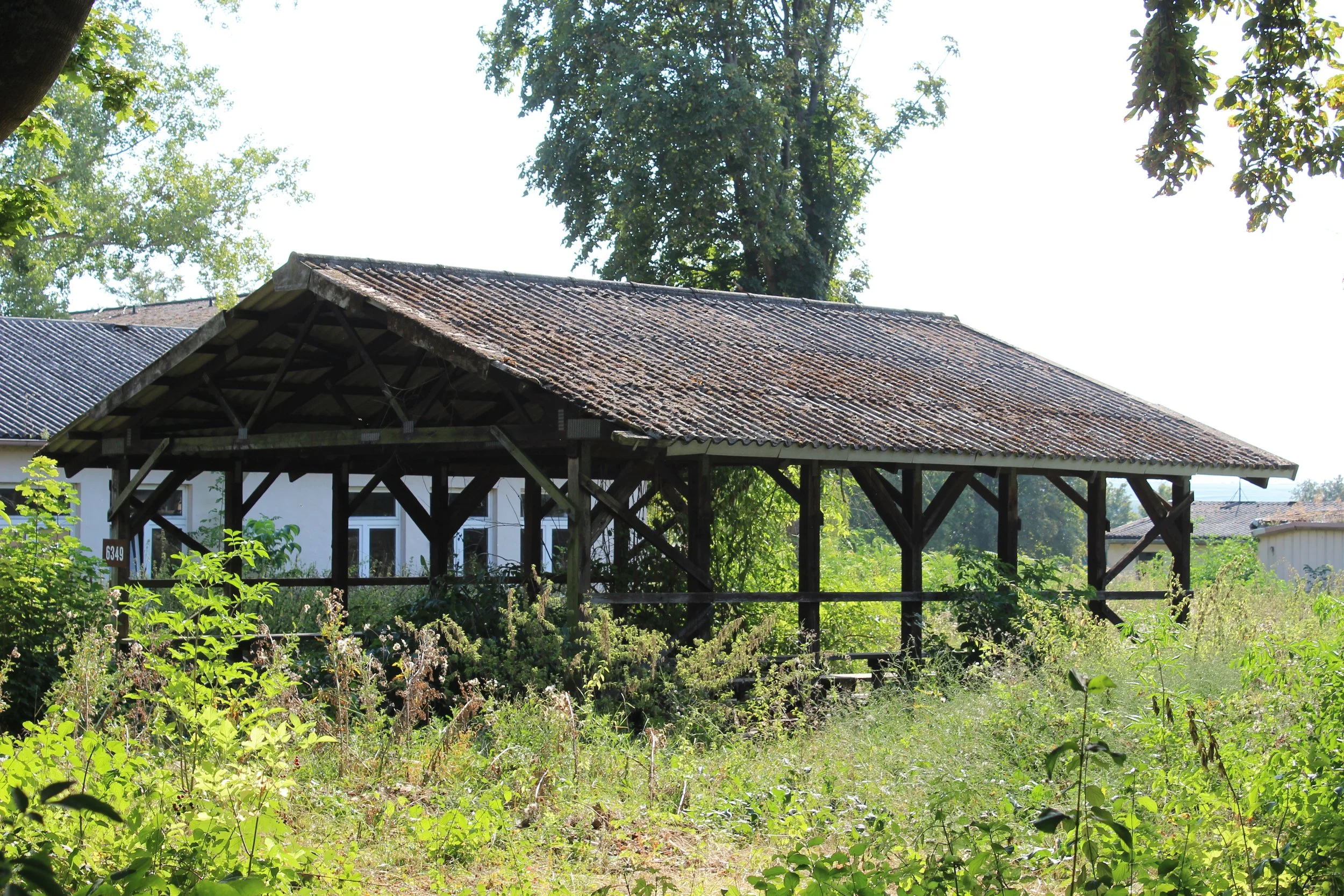 Verfallener offener Holzpavillon im Grünen mit überwucherten Pflanzen im Vordergrund und Bäumen im Hintergrund.