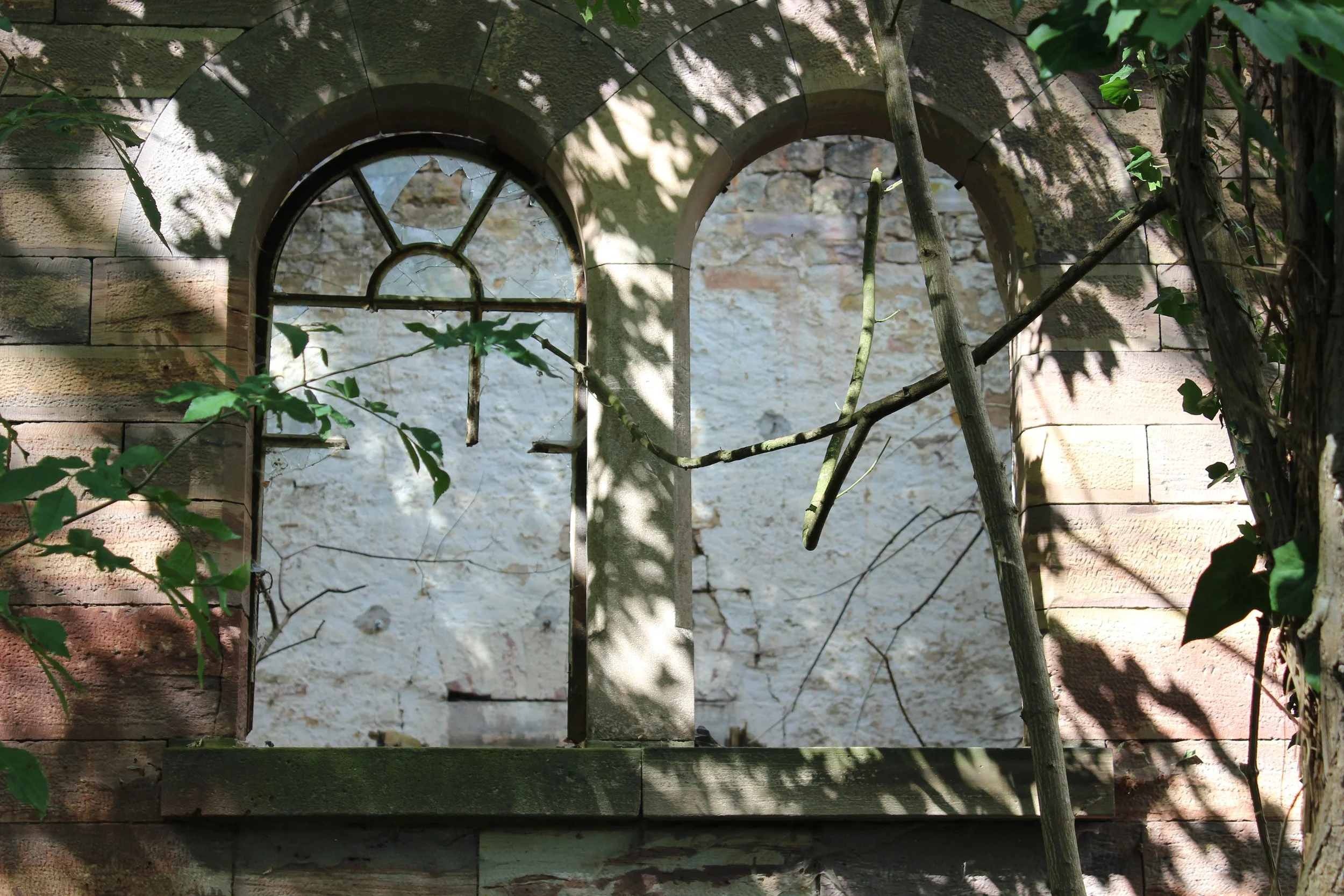 Ein altes, verfallenes Fenster mit einem kreisförmigen oberen Teil und Gittern, umgeben von grünem Laub und Ästen, an einer alten Wand