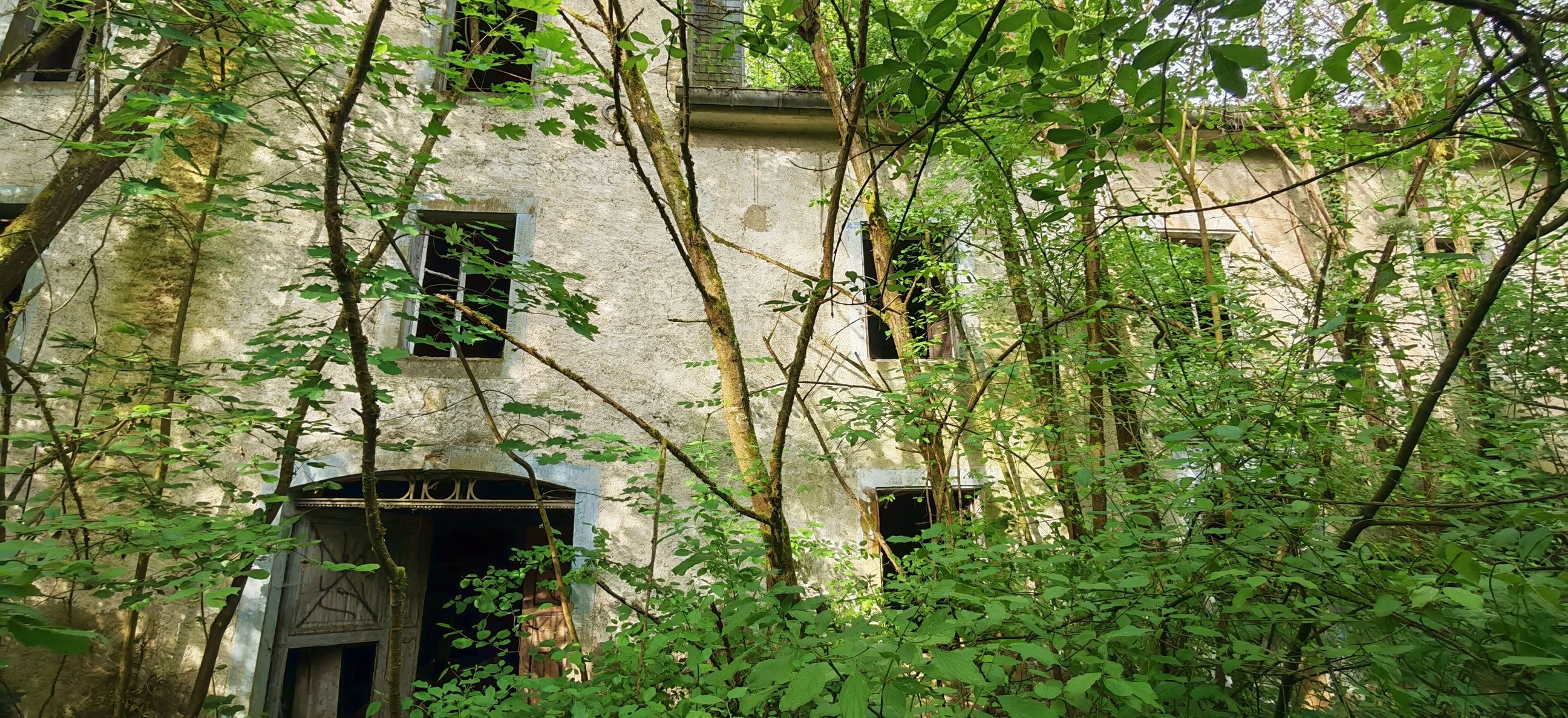 Verfallenes, von Bäumen und Pflanzen überwuchertes Gebäude mit offenen Fenster- und Türöffnungen.