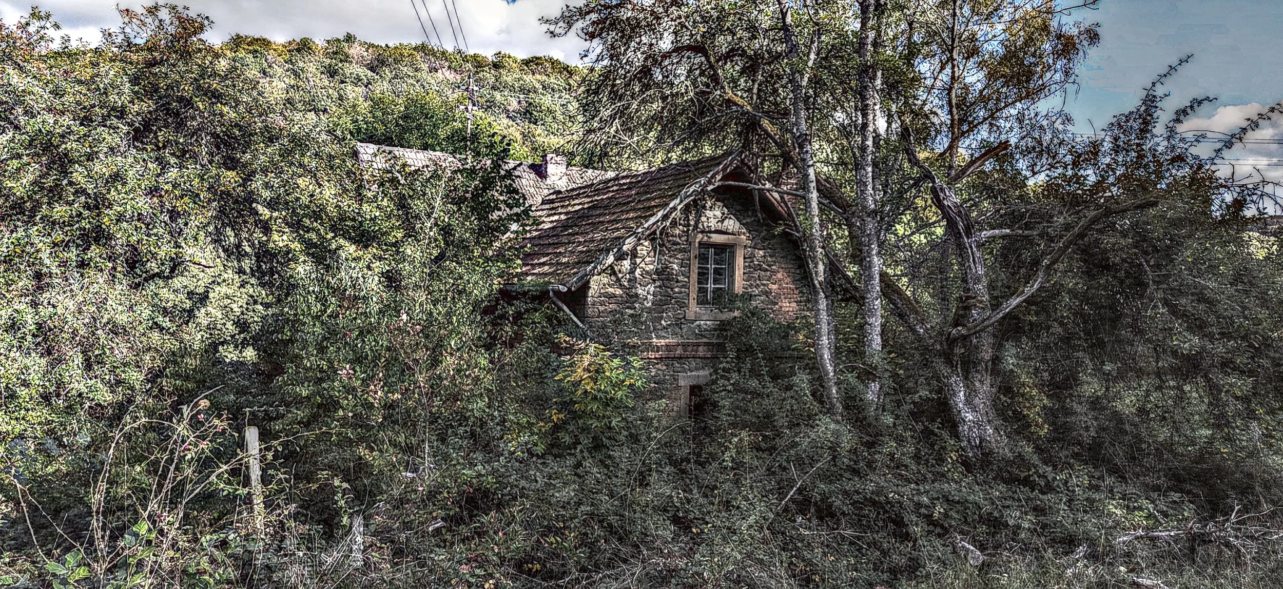 Verfallenes Haus versteckt hinter dichtem Bewuchs und Bäumen in einer bewaldeten Gegend.