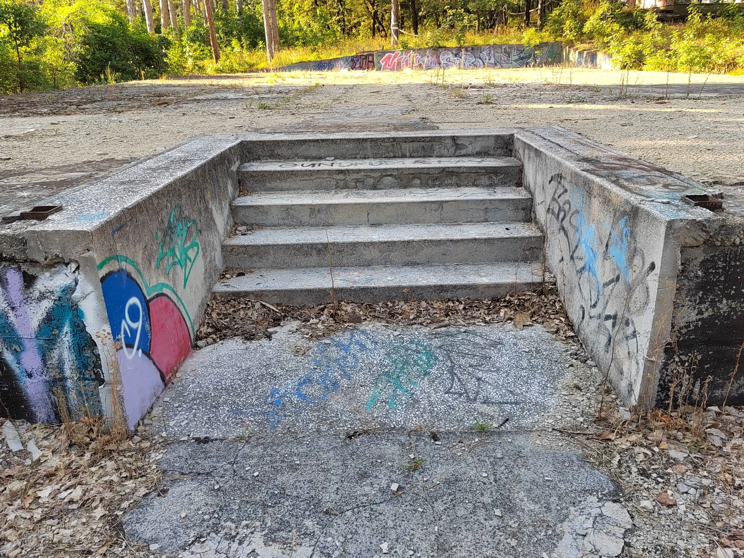 Verfallene, graffiti-verschmierte Betonstufen im Freien, umgeben von trockenem Laub, mit einem Wald und Bäumen im Hintergrund.
