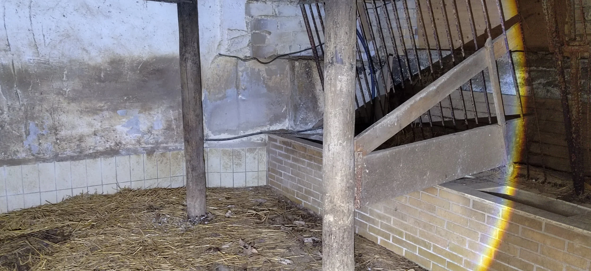 Innenansicht eines alten, verfallenen Gebäudes mit Steinstufen, Holzbalken, verputzten und verfallenden Wänden, mit Peitschen und trockenem Laub auf dem Boden.