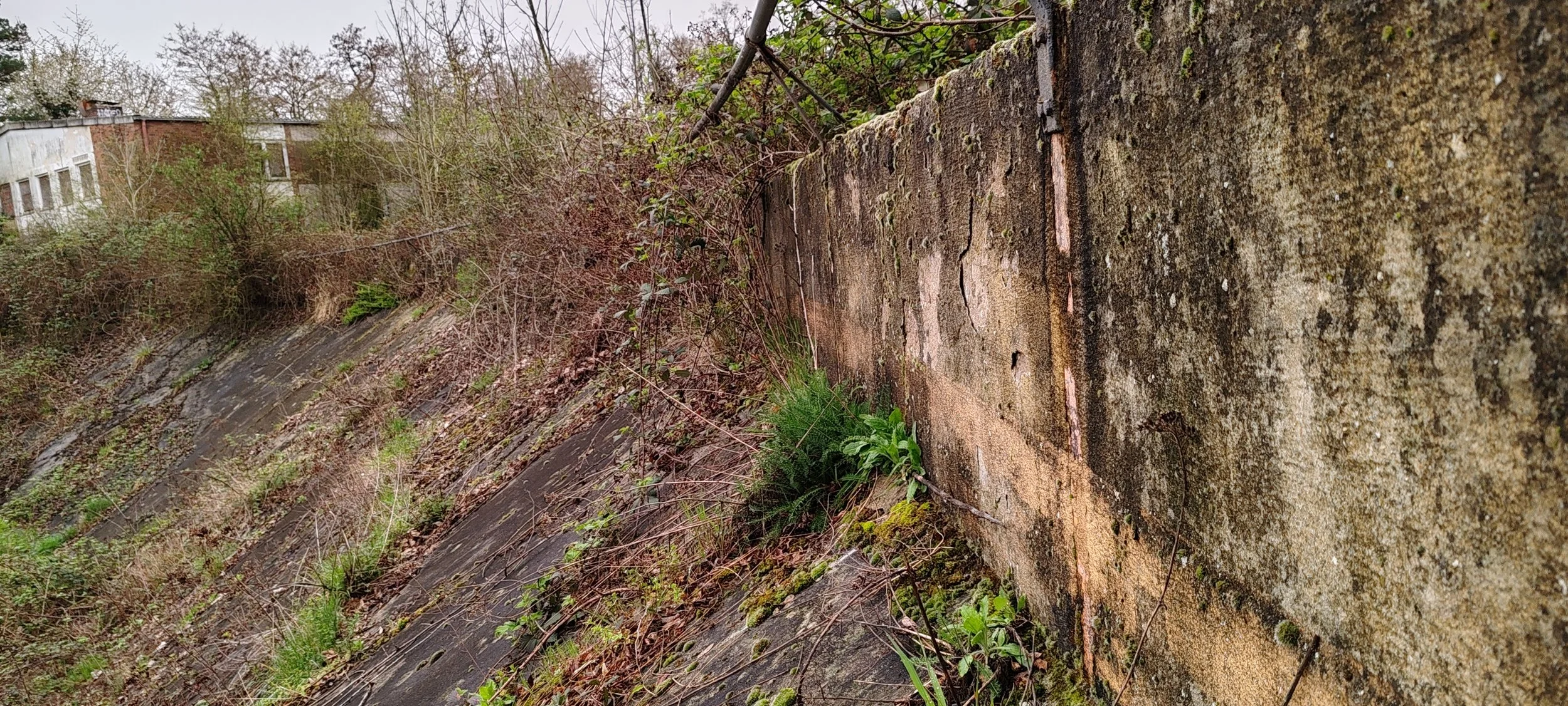 Ein alter, mit Moos und Flechten bedeckter Betonmauer, die an einem verwilderten Hang steht. Im Hintergrund sind Bäume und alte Gebäude sichtbar.
