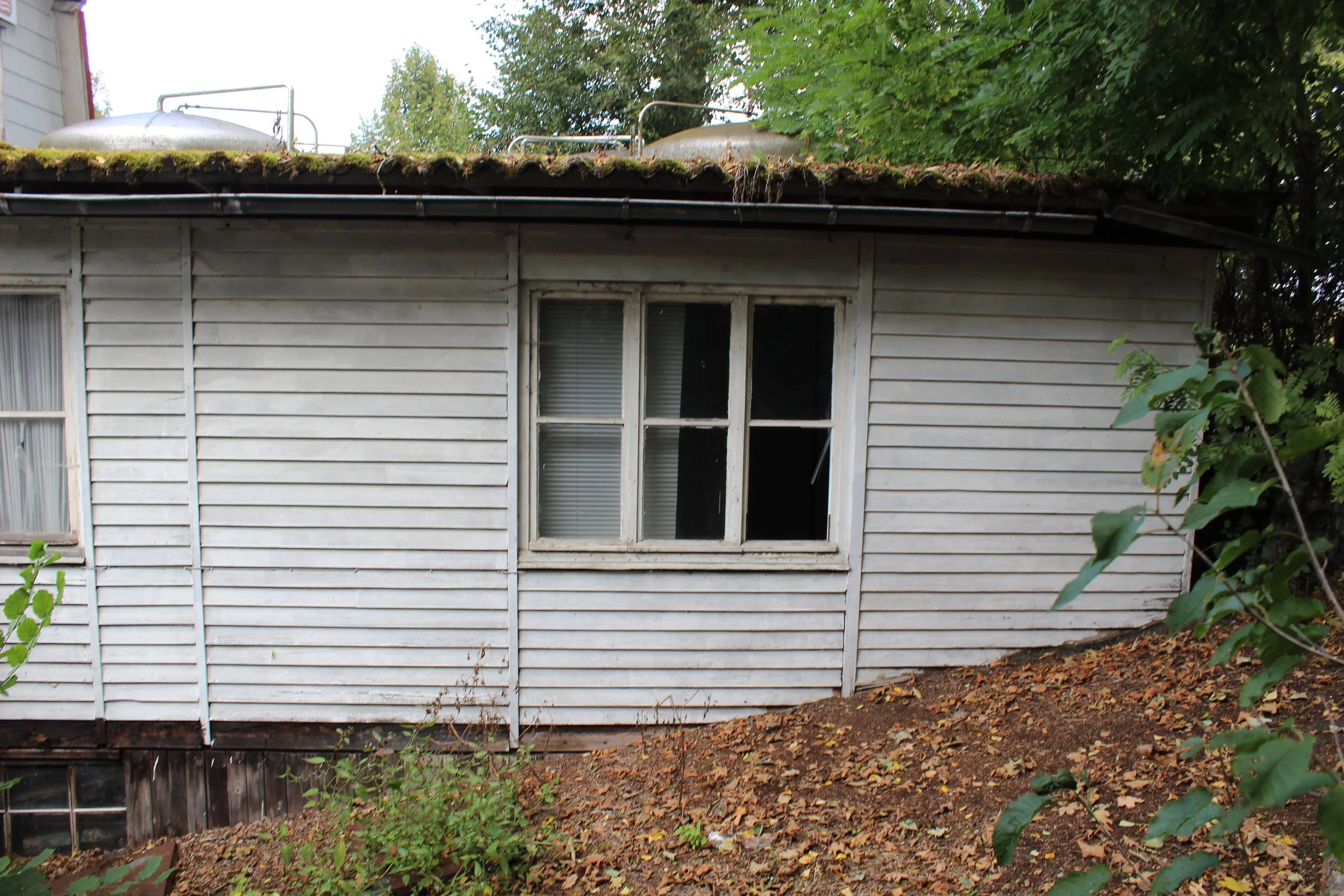 Älteres, verfallenes Holzhaus in einem Garten, umgeben von Bäumen und Laub, mit einer sichtbaren Fensterfront und einem teilweise geöffneten Fenster.