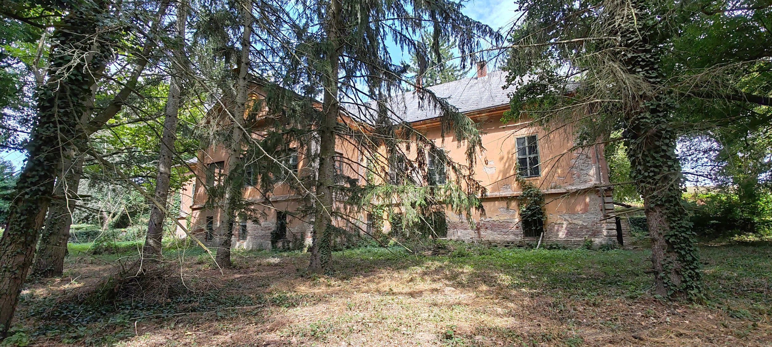 Vergessenes altes Haus versteckt hinter Bäumen in einem Wald, mit verfärbter Fassade und zerbrochenen Fenstern.