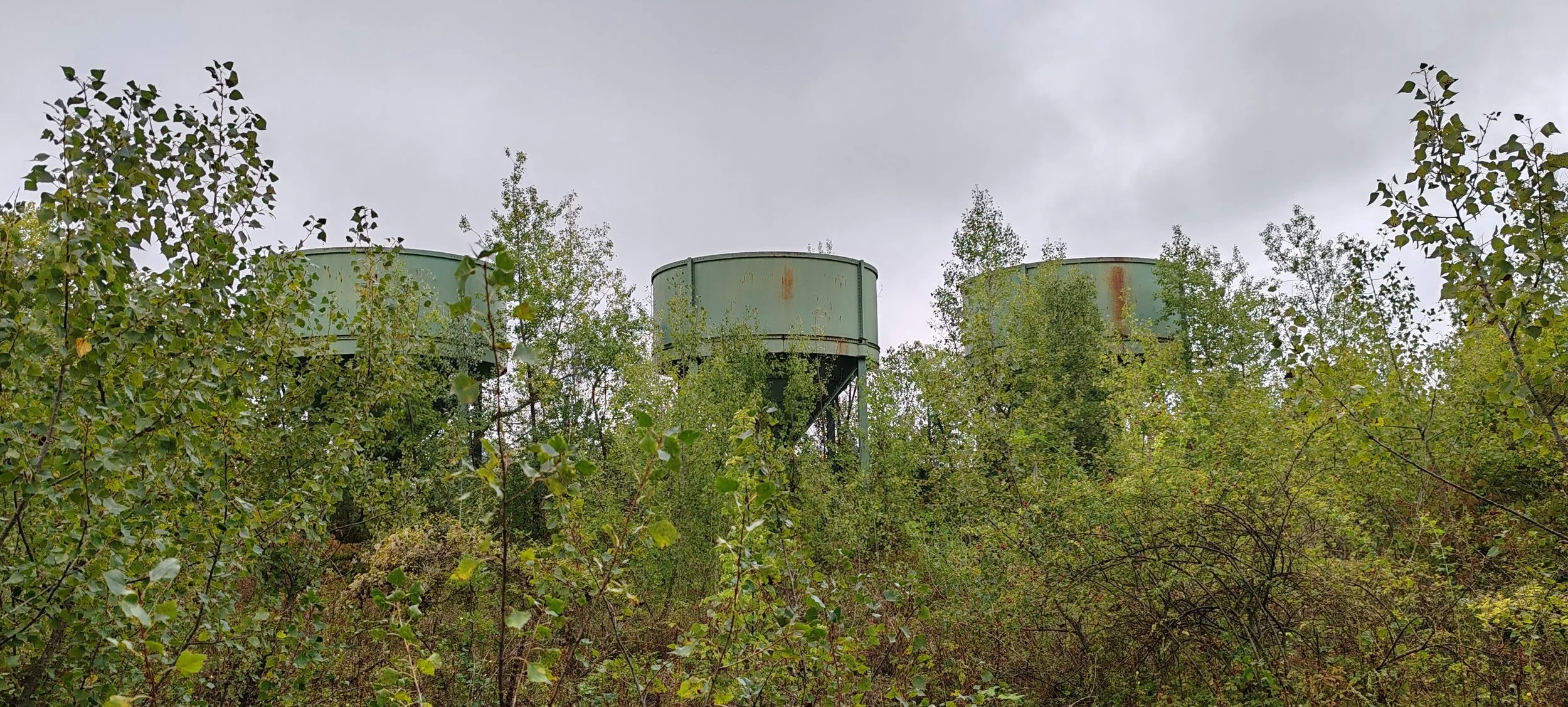 Drei alte grüne Wasserbehälter auf Stelzen, umgeben von dichten Büschen und Bäumen, Himmel ist bewölkt.