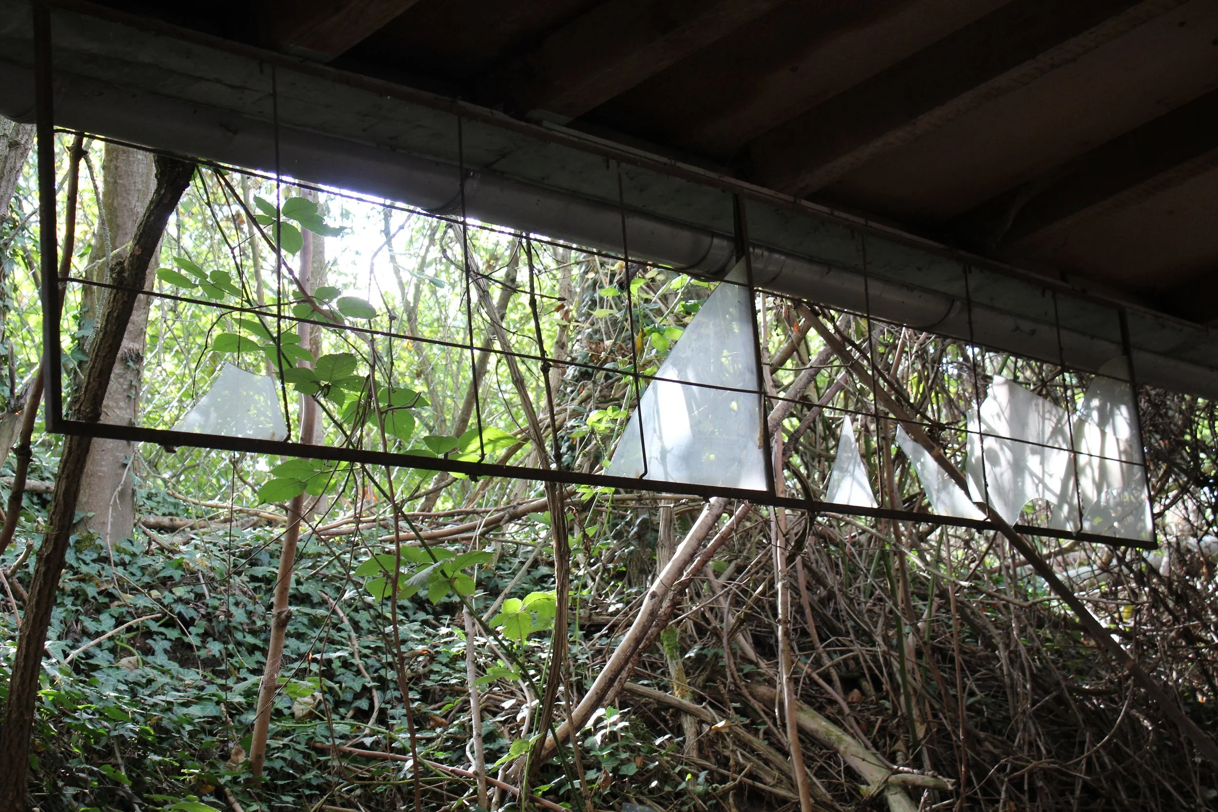Ein Fenster mit zerbrochenem Glas, das von einem unter einer Brücke von Vögeln bewachsenen Wald umgeben ist.
