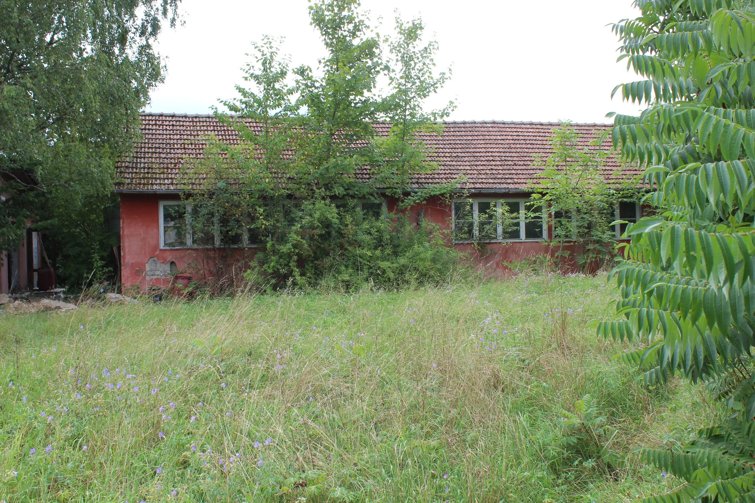 Verfallenes Haus mit marodem Putz an den Wänden, umgeben von Unkraut und Wildwuchs, im Hintergrund Bäume und ein bewölkter Himmel.