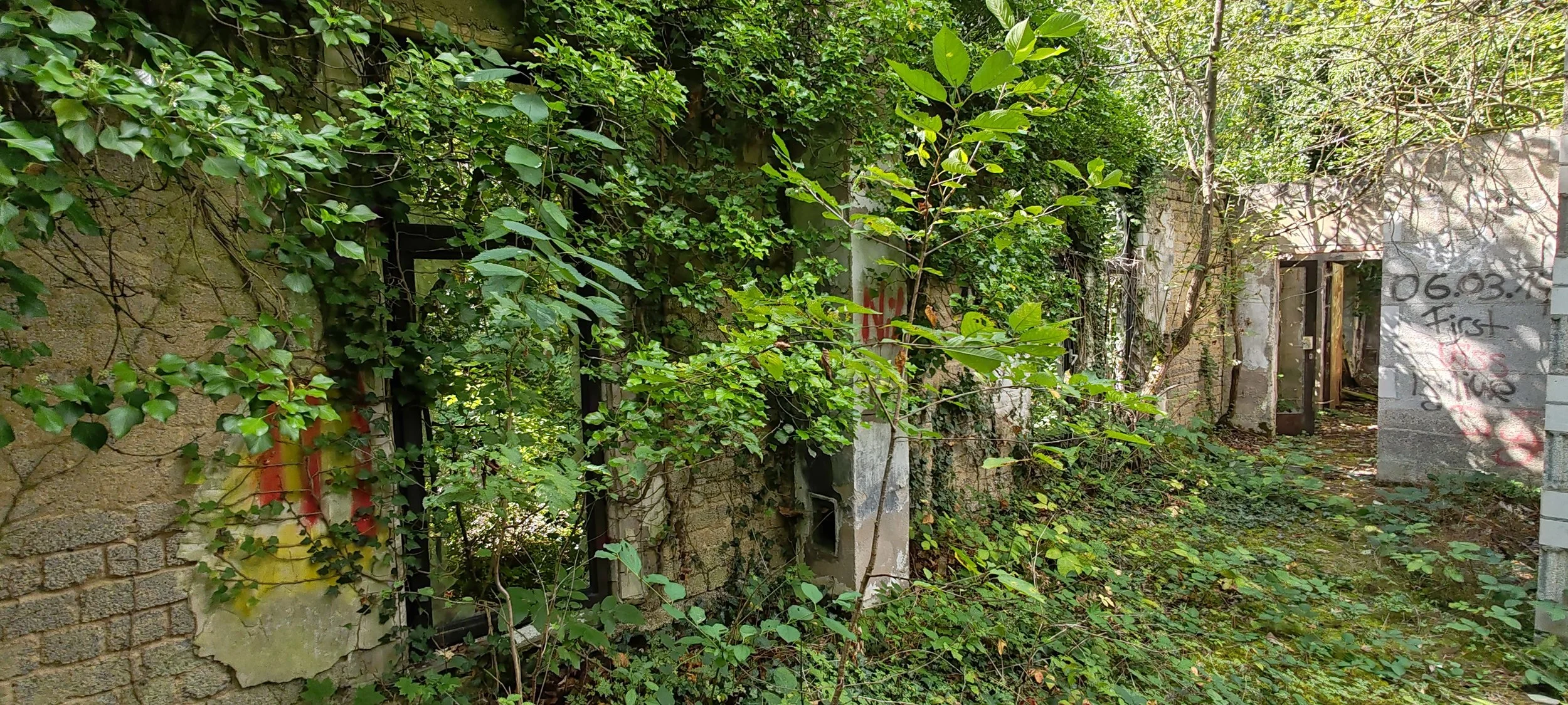 Verfallene Gebäude mit überwucherten Wänden und Fenstern, Bäume und Pflanzen wachsen durch die Ruinen, Graffiti an der Wand.