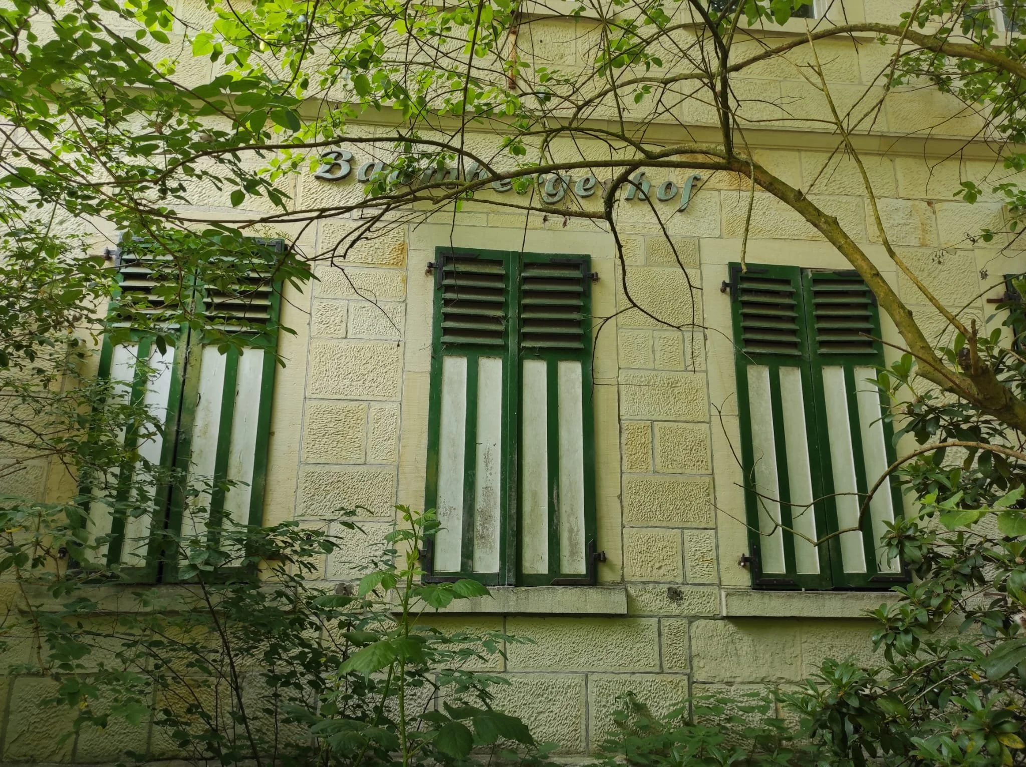Fenster mit grün-weißen Jalousien an einer gelben Steinwand, umgeben von grünen Blättern, mit dem Schild »Bauerngarten« über den Fenstern.