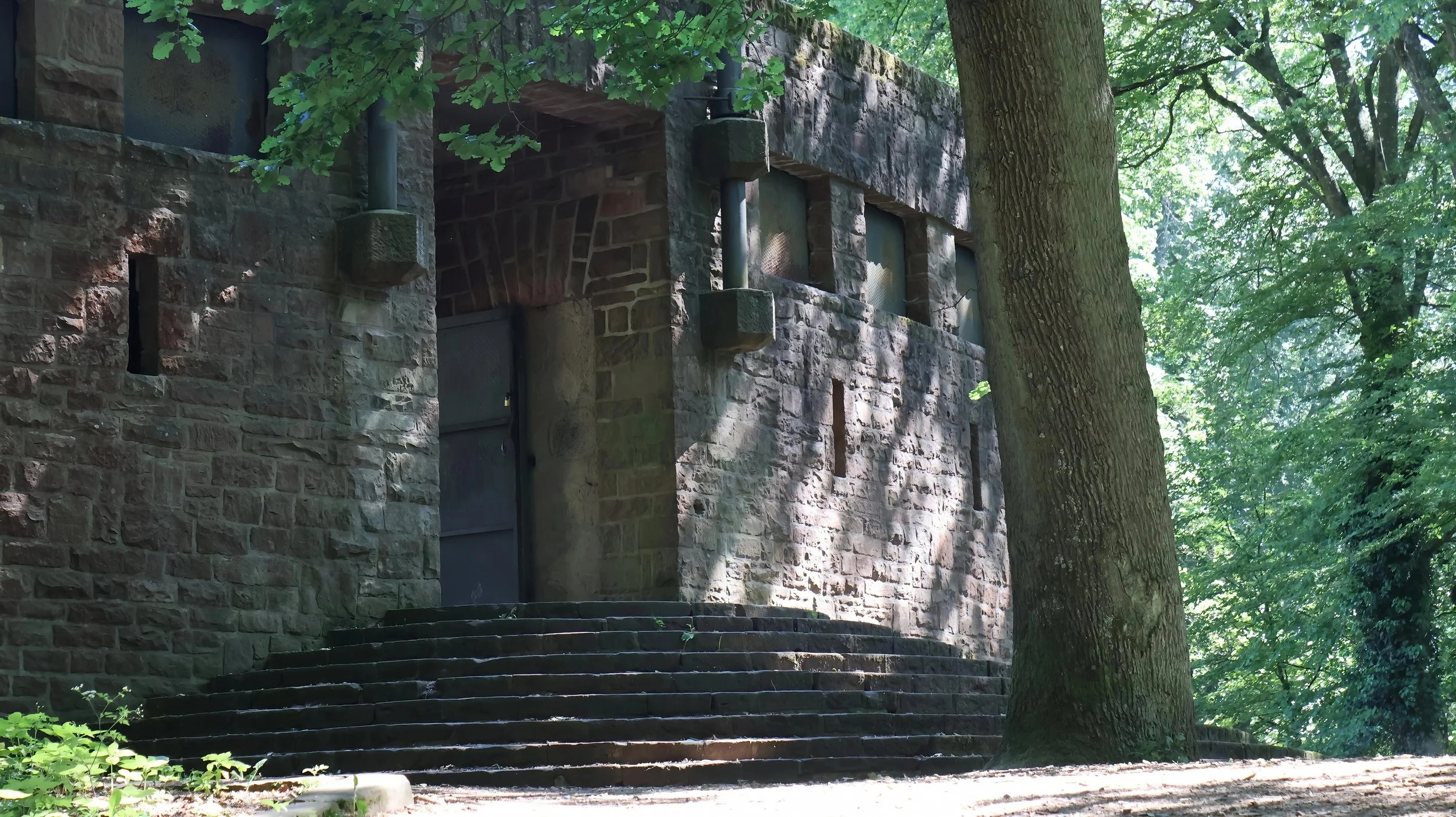 Steinbau mit Treppen vor einem großen Baum in einem grünen Waldgebiet