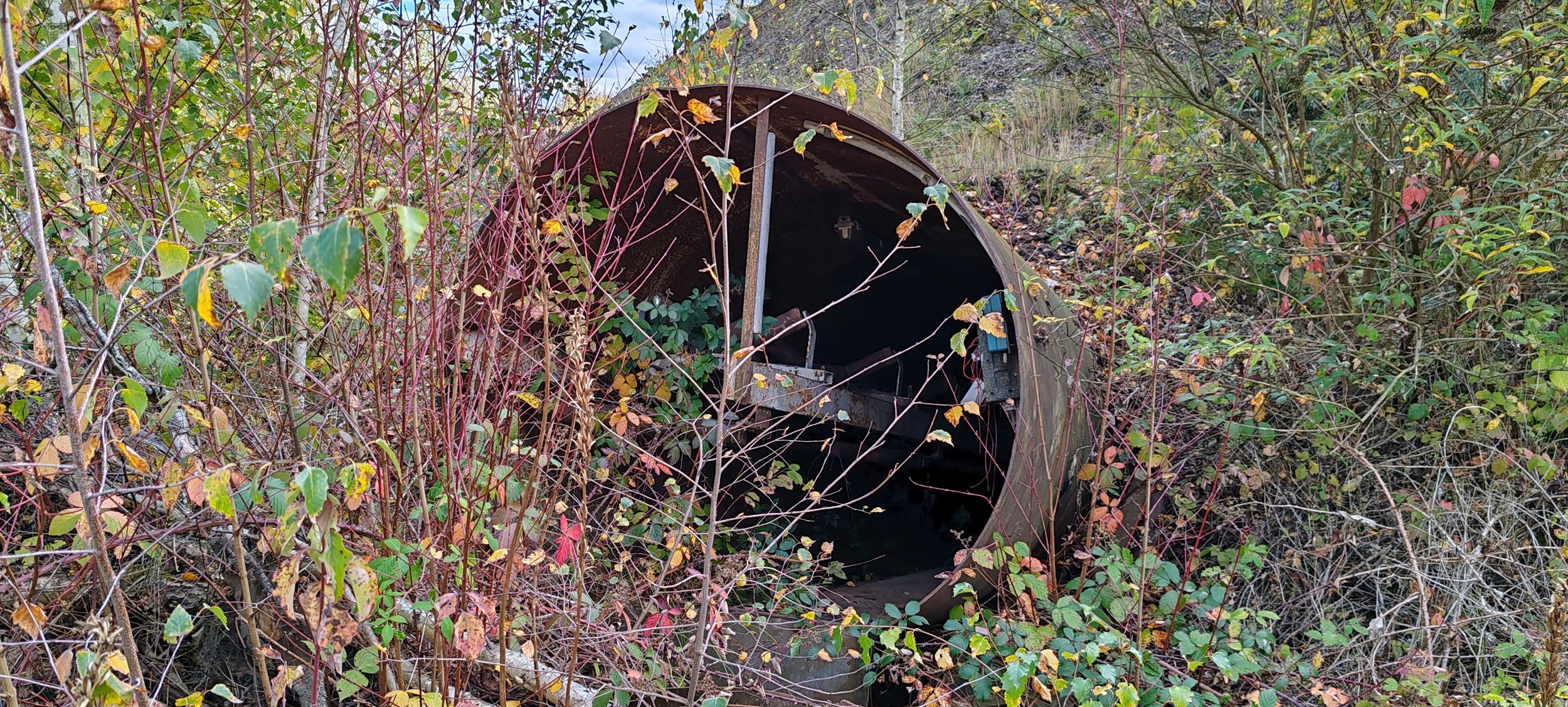 Verrosteter, quadratischer Metallkanal liegt im Gebüsch und ist von Pflanzen und Zweigen umgeben.