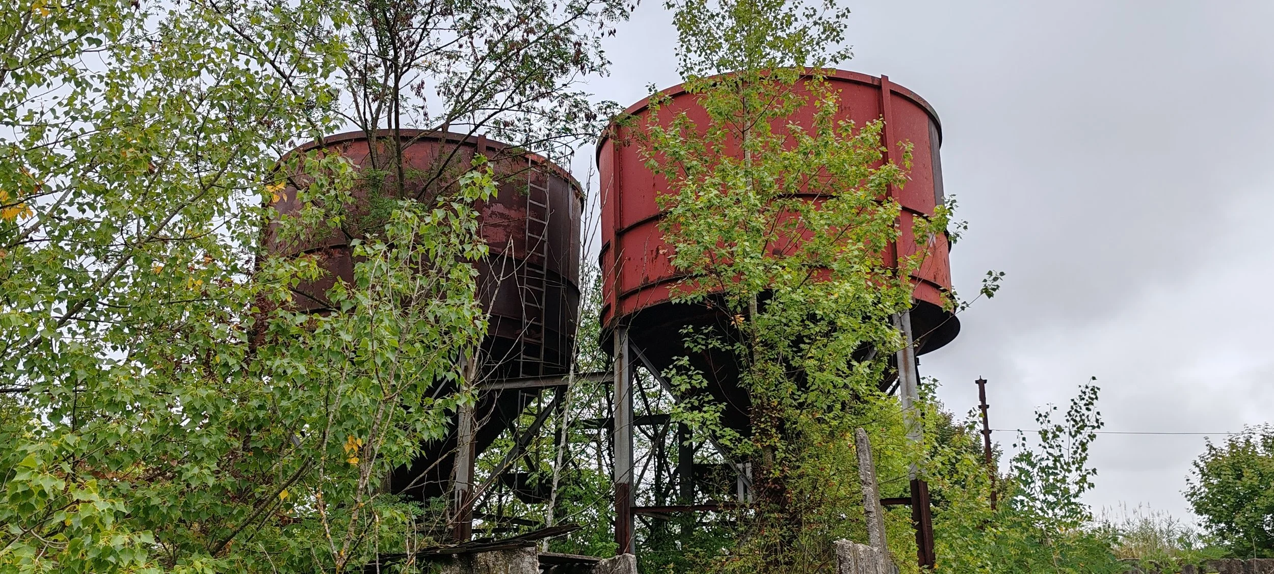 Zwei alte, rote Wasserbehälter auf hohen Stahlstützen, teilweise von grünen Bäumen überwachsen, bei bewölktem Himmel.