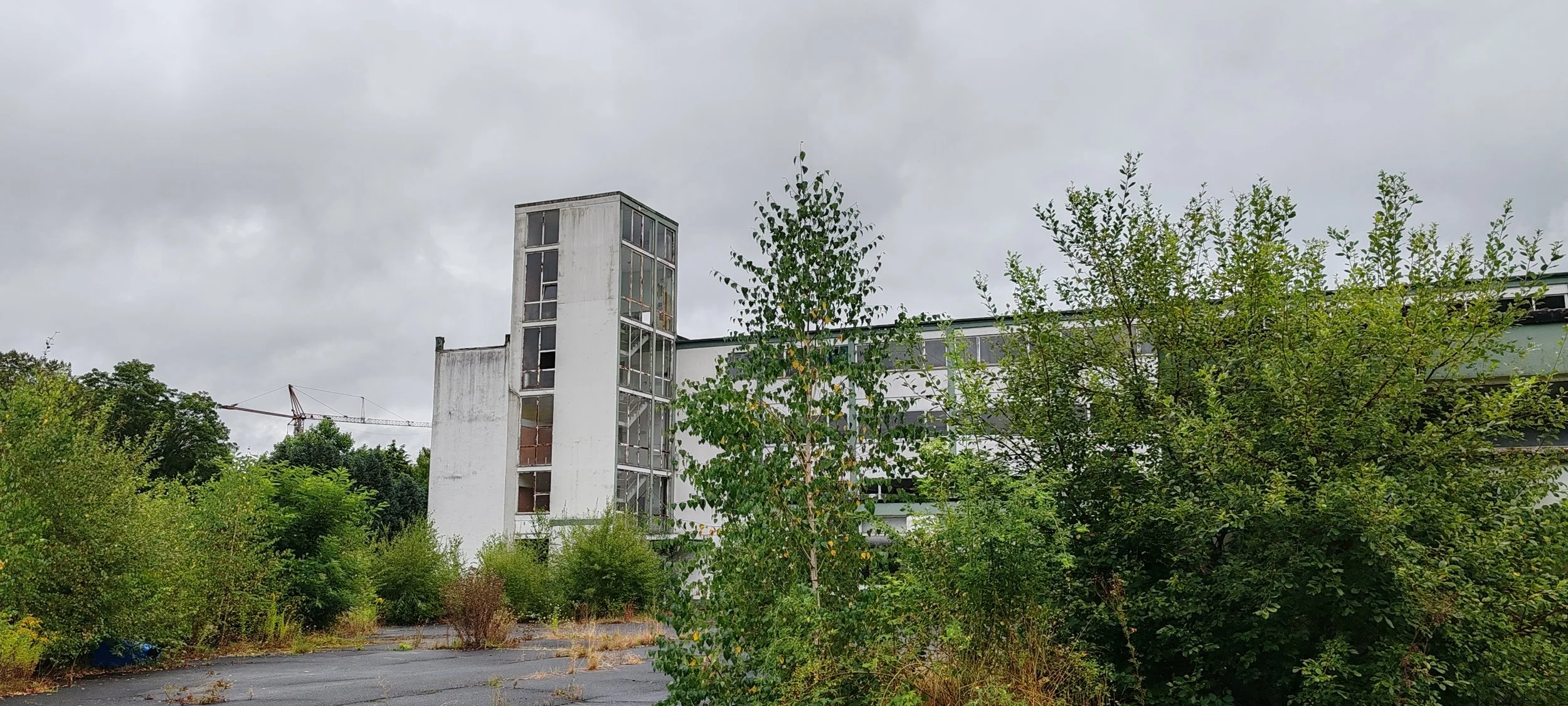 Verwildertes, verlassenes Gebäude mit viel Grün und einem Baukran im Hintergrund, an einem bewölkten Tag.