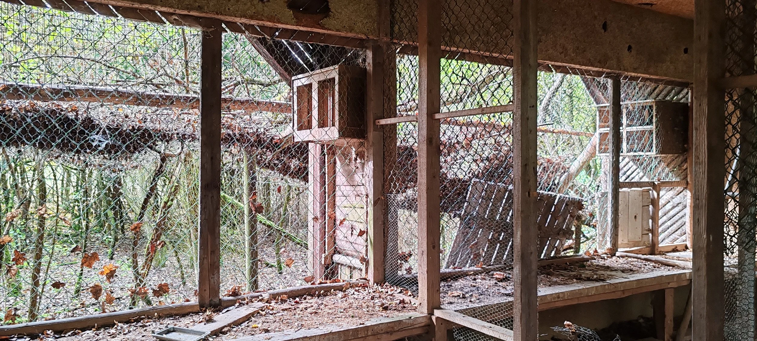 Ein verfallenes und verlassenes Vogelvolieren-Gelände mit Holzrahmen, Drahtnetz und Laub auf dem Boden, Blick ins Freie mit Bäumen und Sträuchern im Hintergrund.