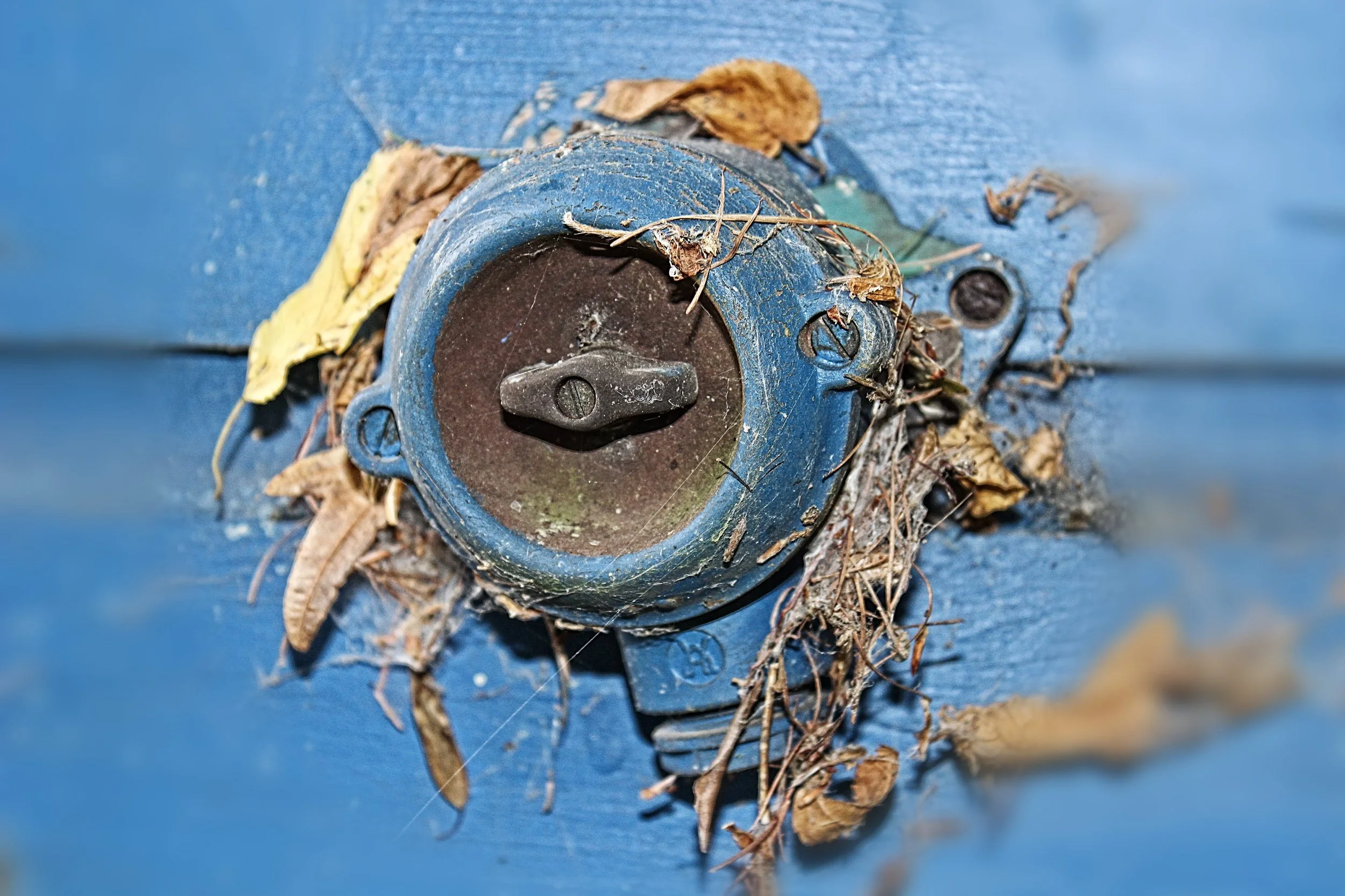 Alter Haustürklingel mit Staub, Laub und Spinnweben