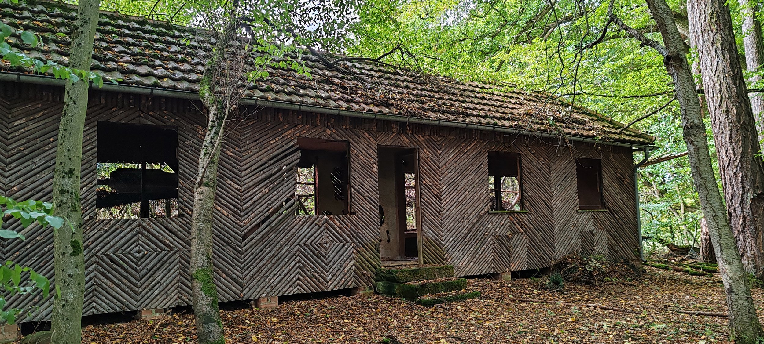Verfallenes Holzhaus in einem bewaldeten Gebiet, umgeben von Bäumen und fallendem Laub.