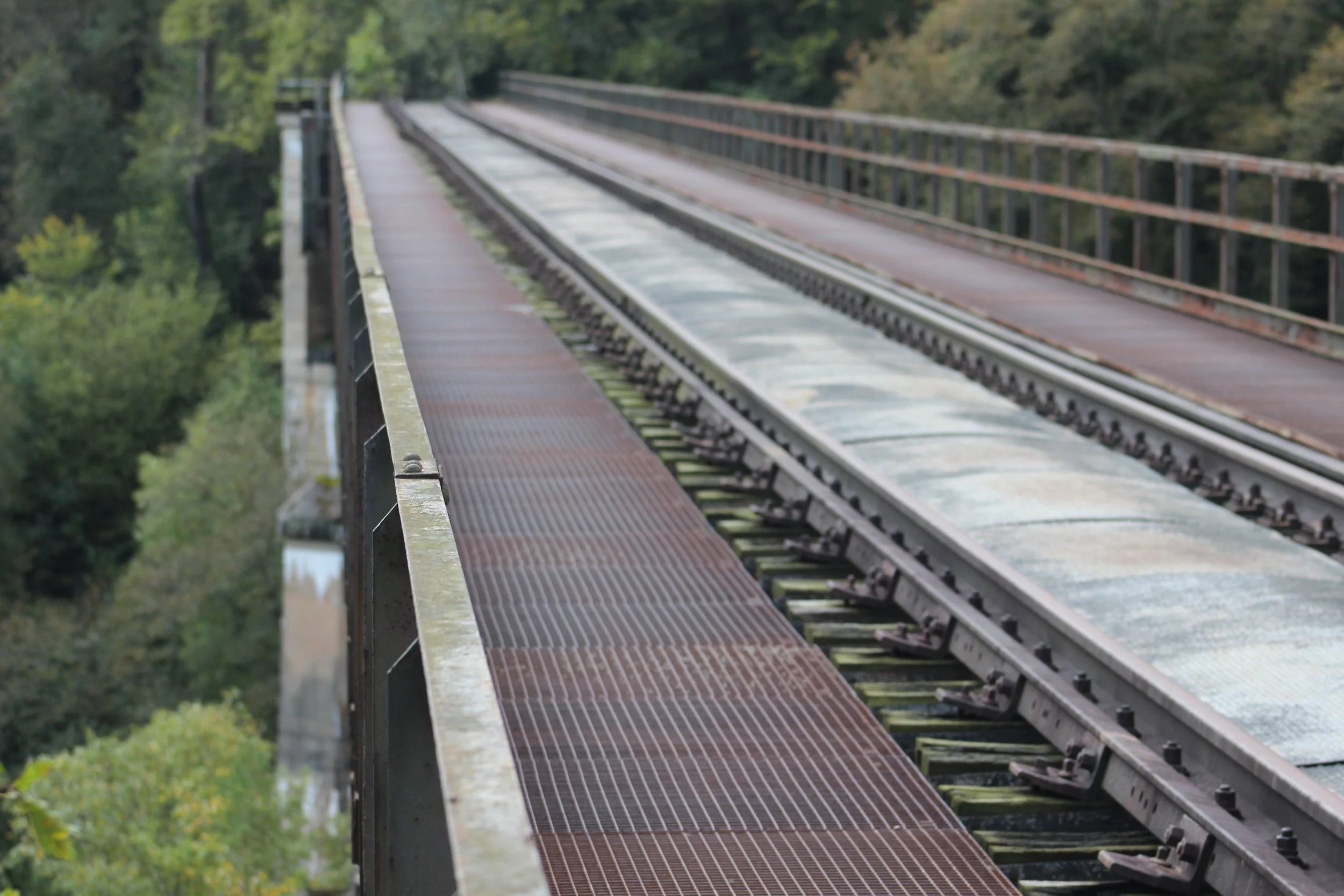 Eisenbahnbrücke mit Schienen und Begehbarkeit, umgeben von Bäumen.